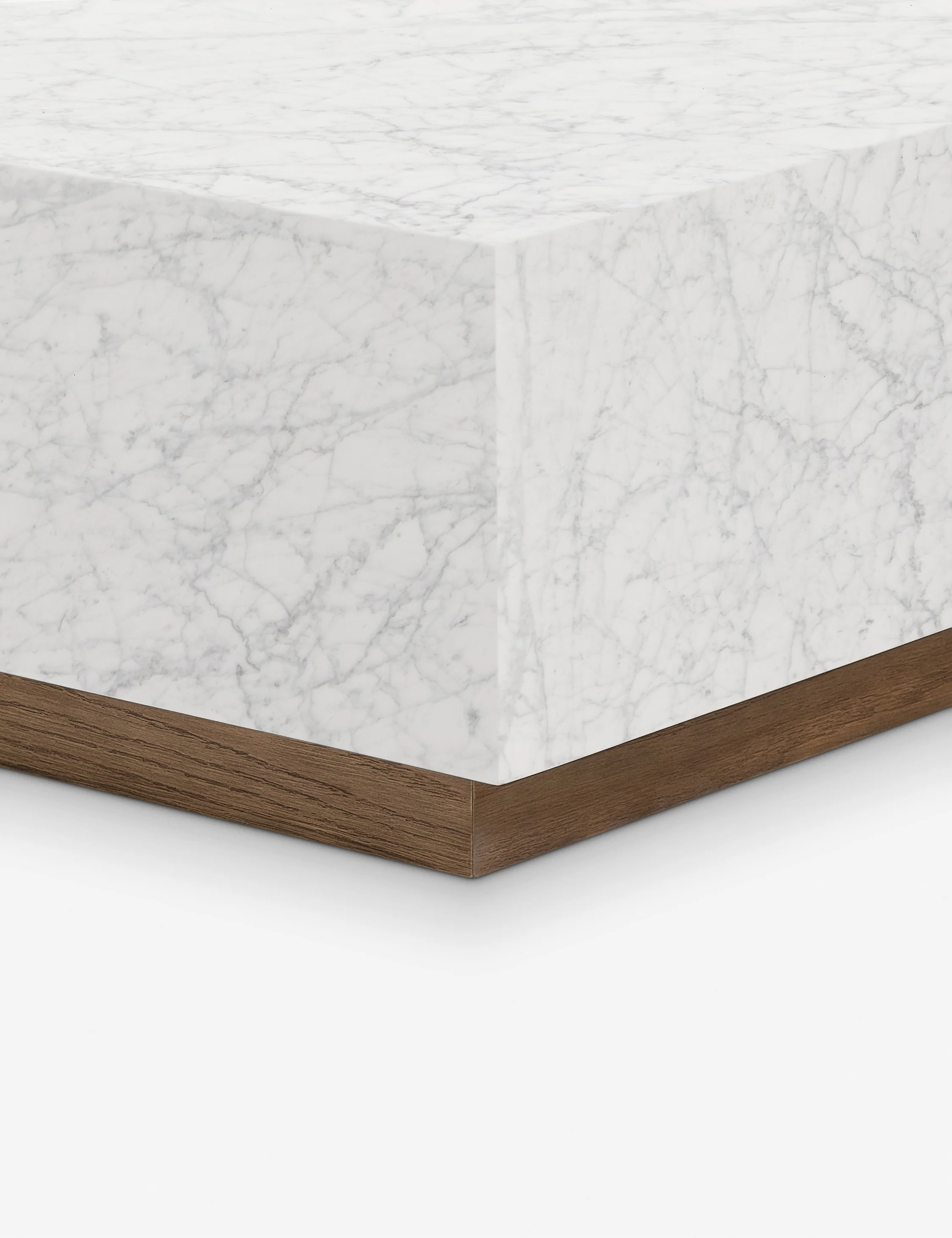 Janus Coffee Table - Image 5