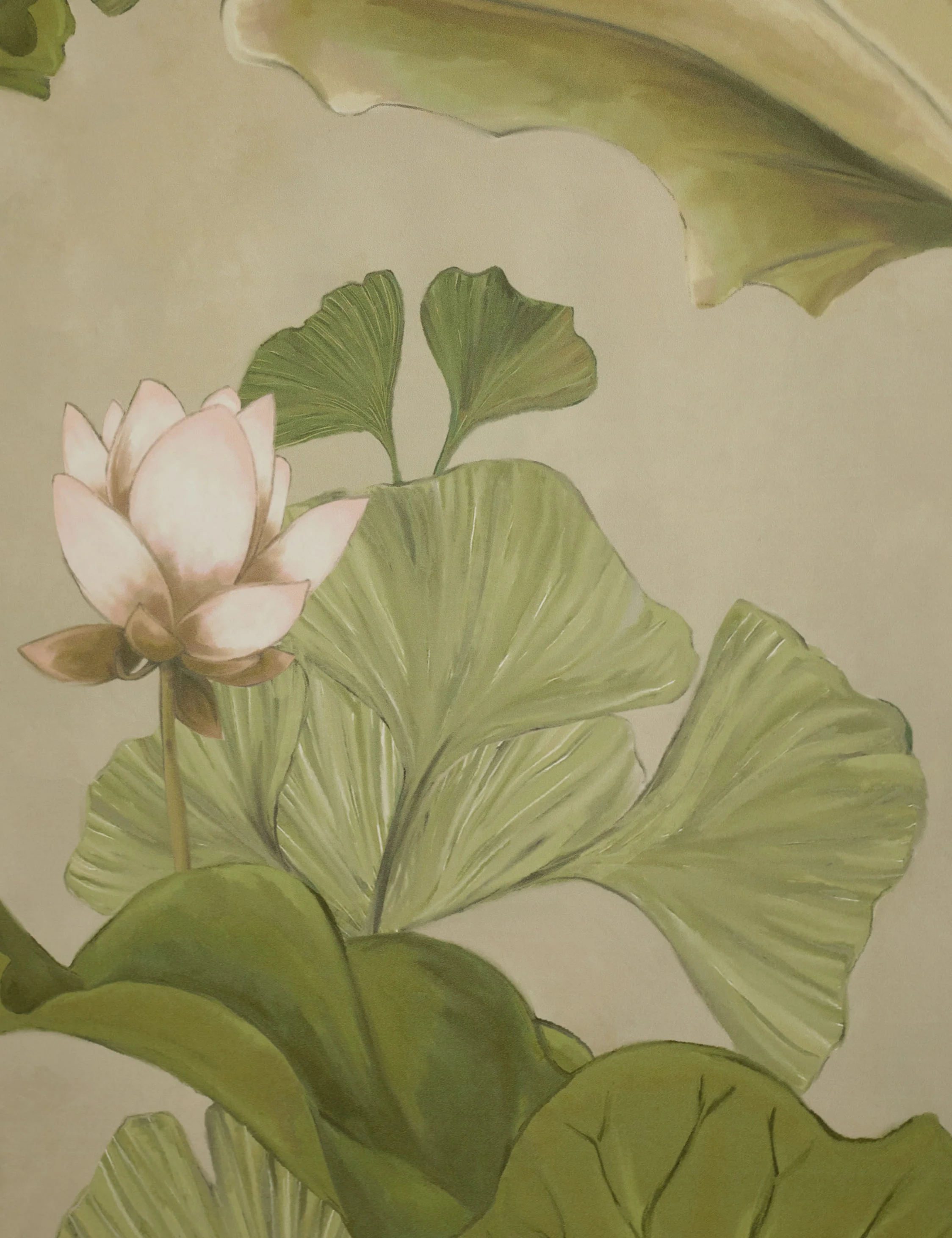 Lotus Wallpaper by Aimee Song - Image 8