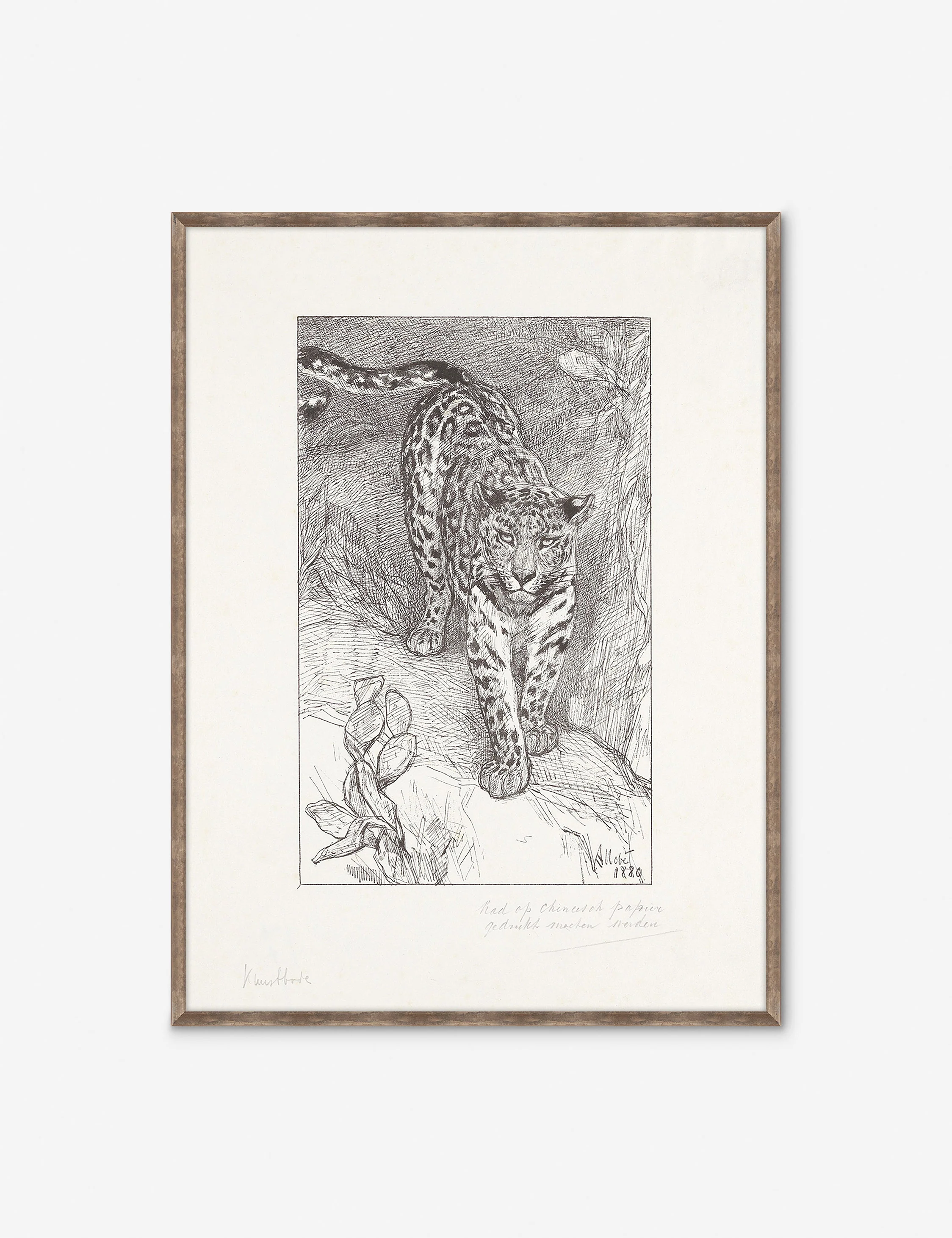 Luipaard Wall Art by Alex Zane
