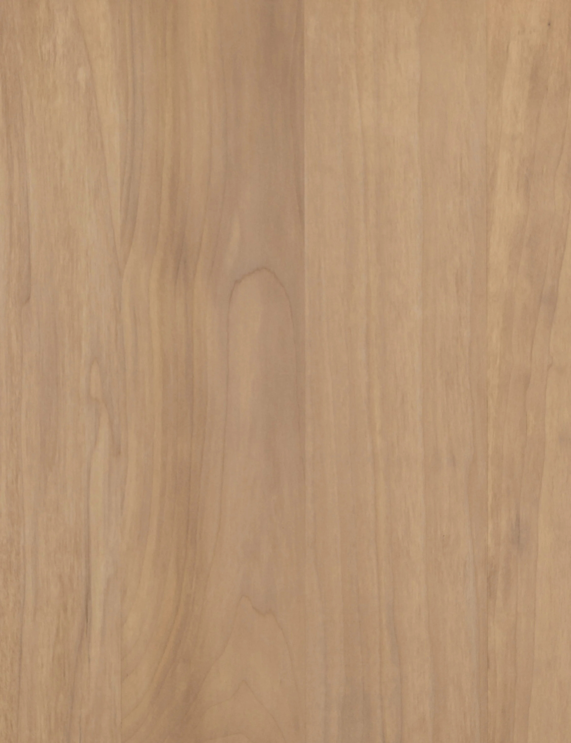 Maeve Media Console - Image 12