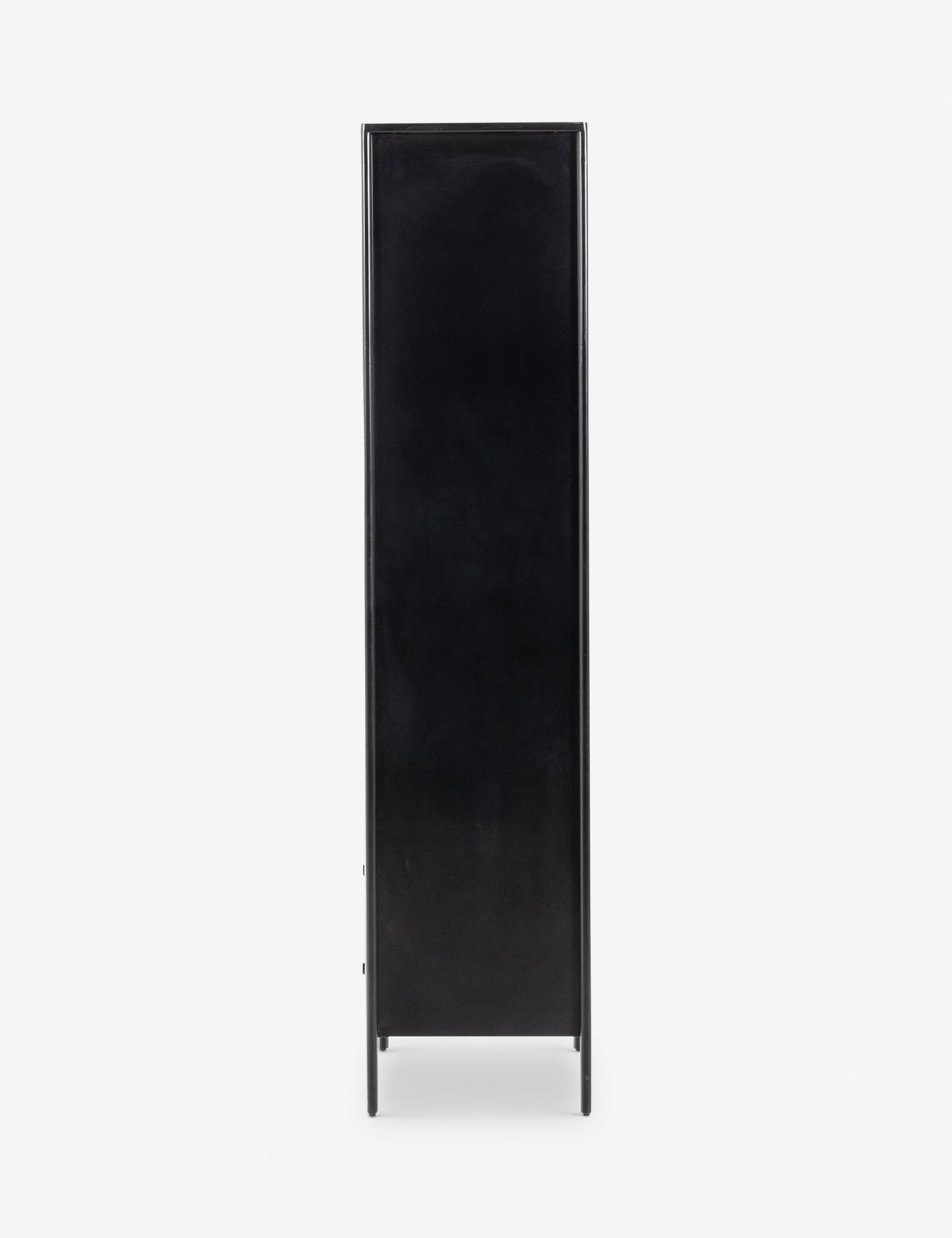 Mathus Curio Cabinet - Image 4