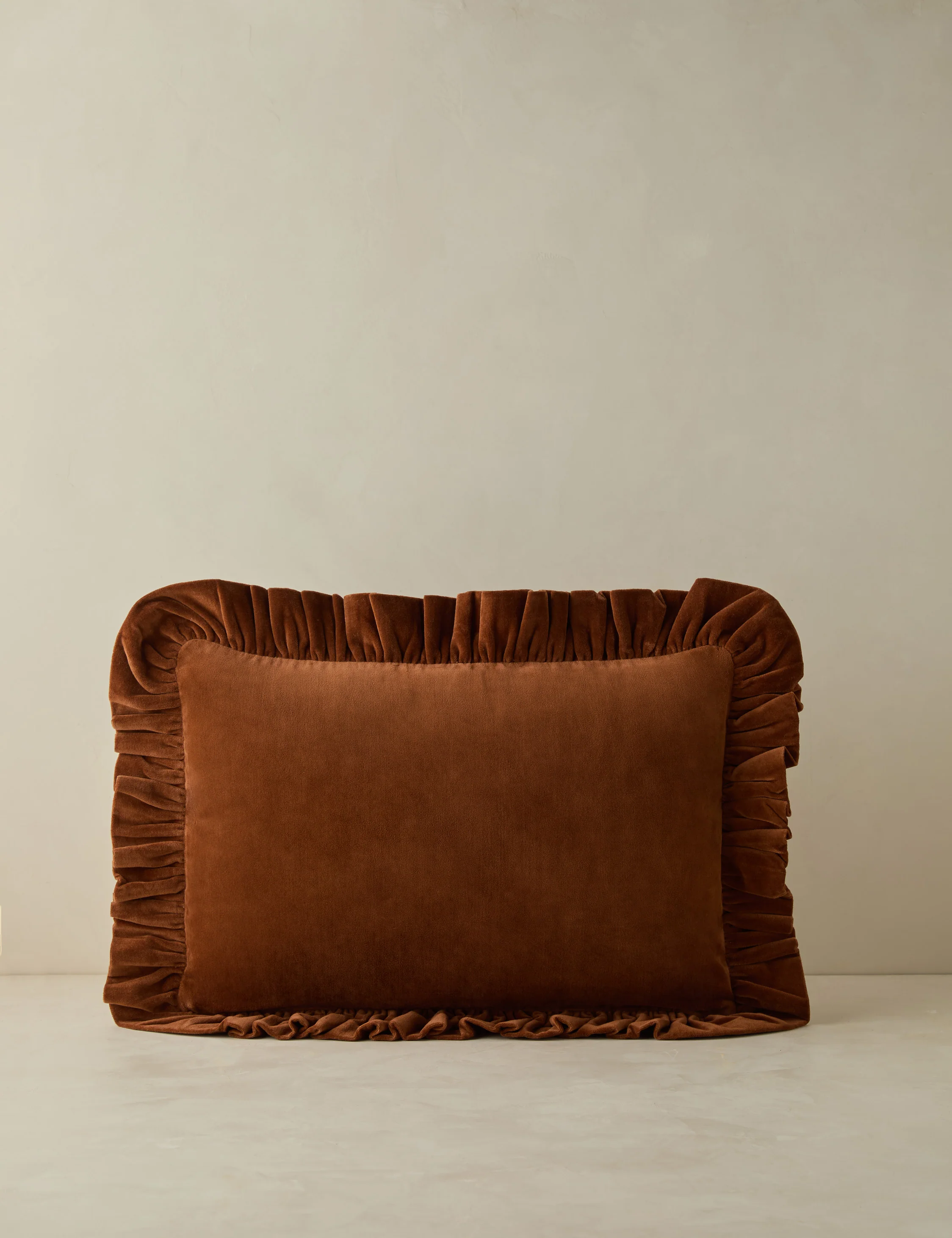 Mauree Velvet Pillow - Image 8
