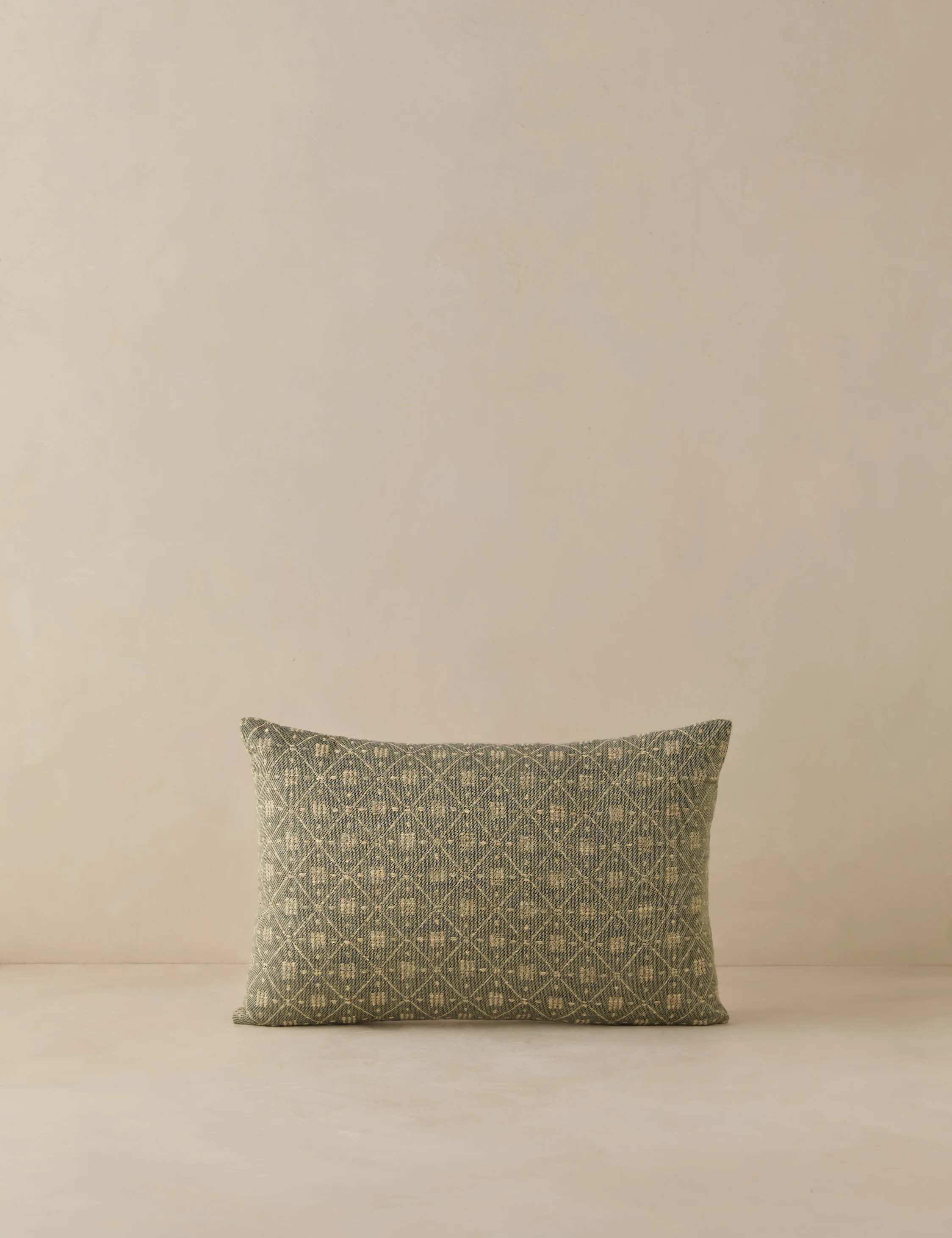 Merola Jacquard Pillow Cover - Image 11
