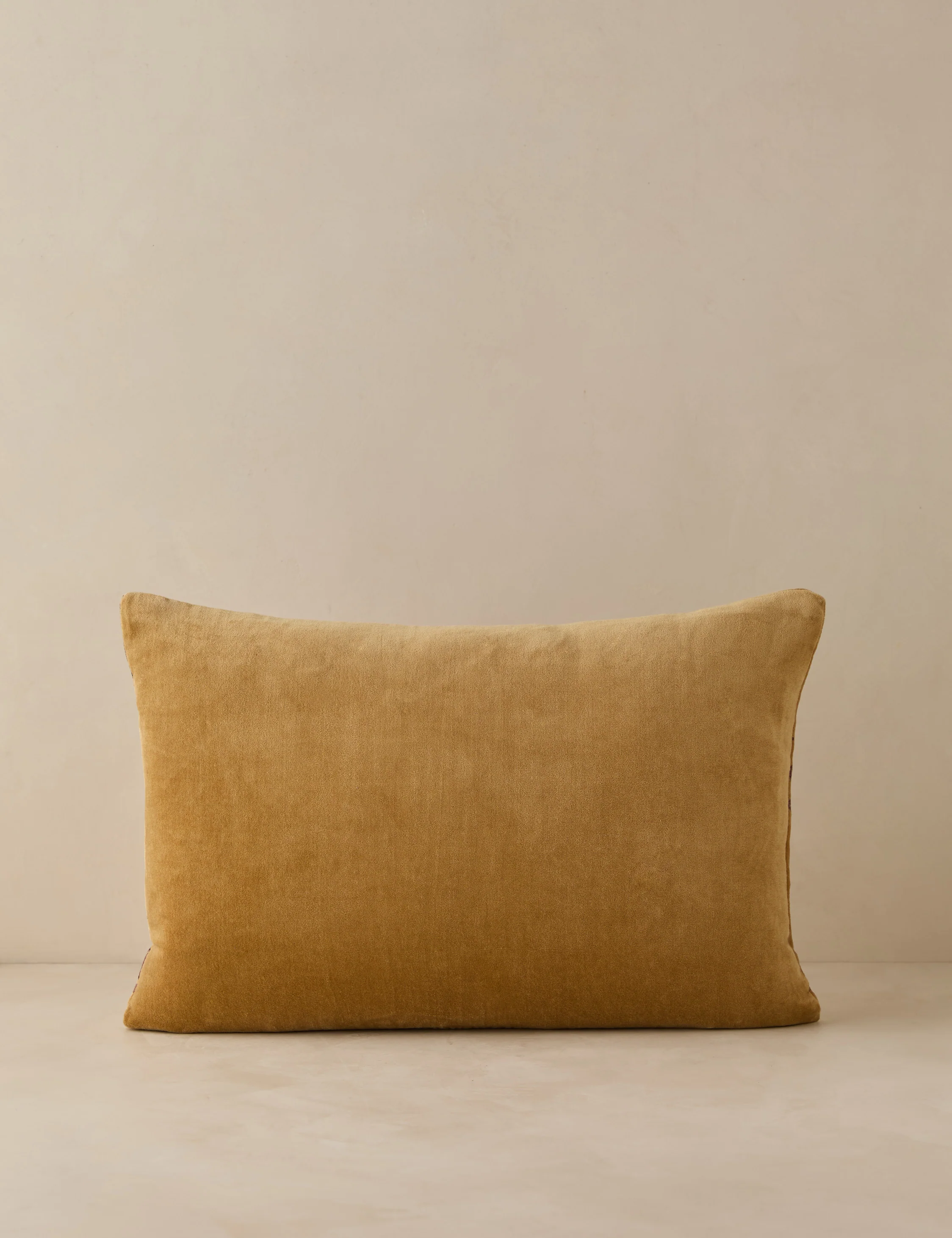 Montreal Velvet Pillow - Image 6