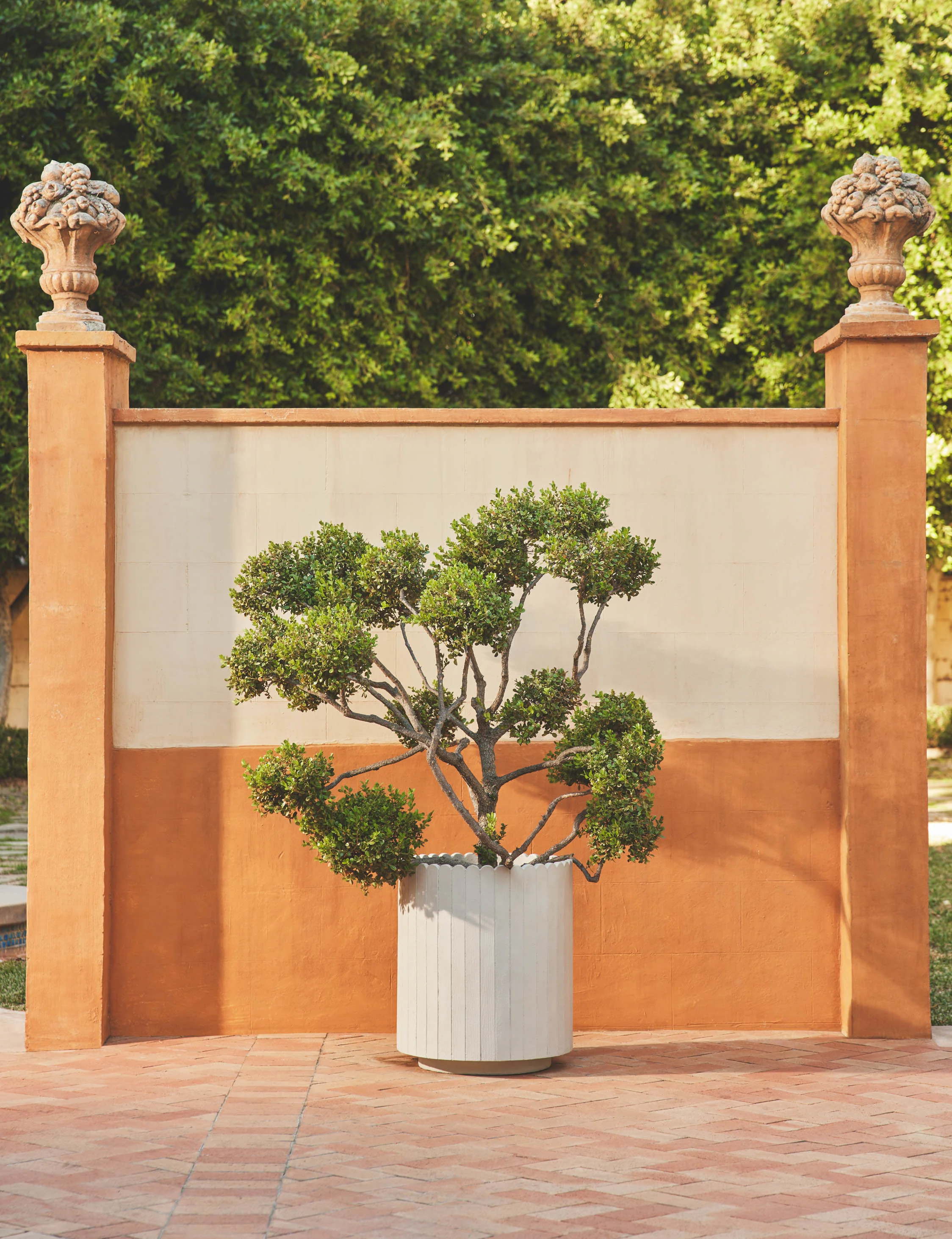 Mowry Indoor/Outdoor Planter - Image 3