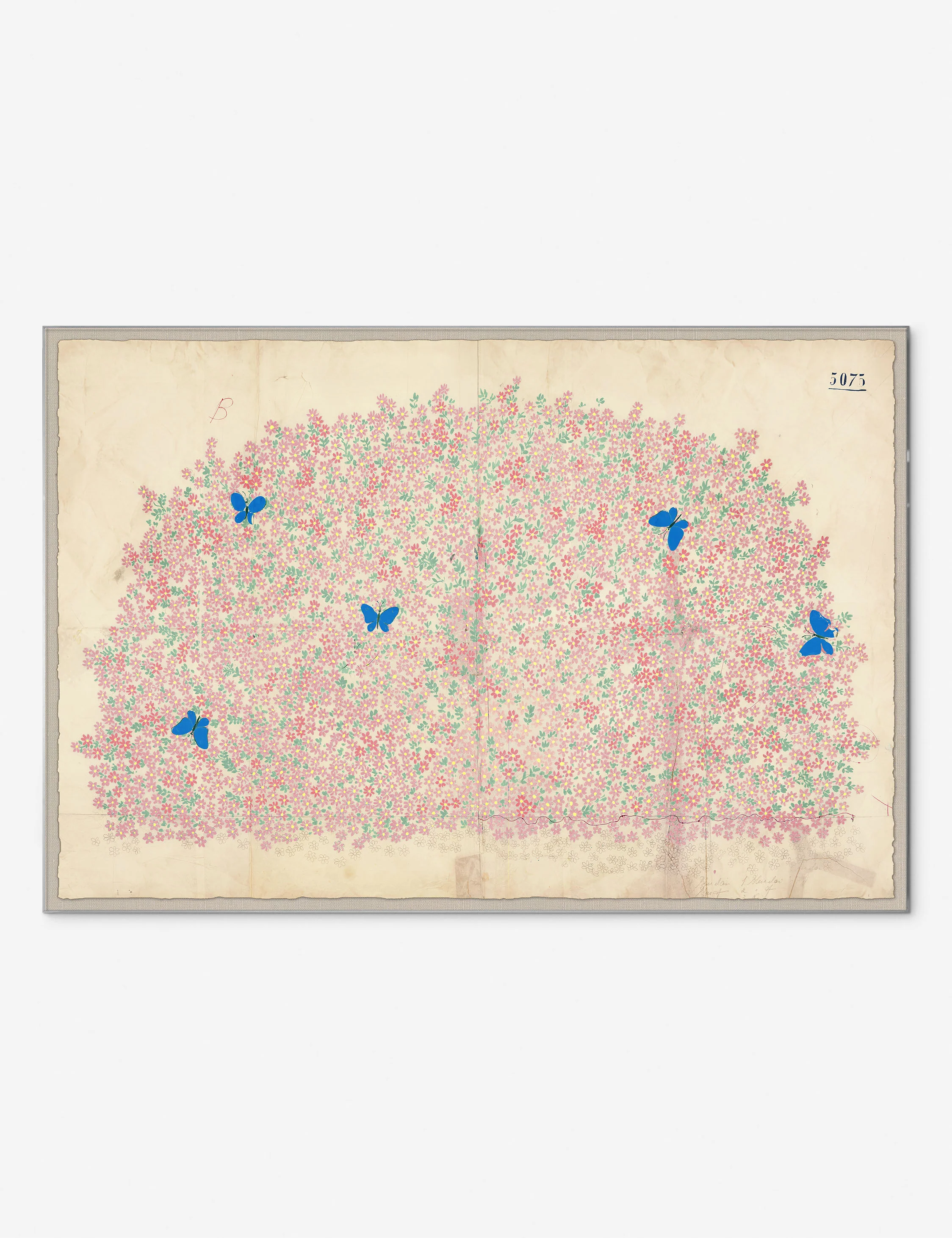 Myosotis Print by Paule Marrot