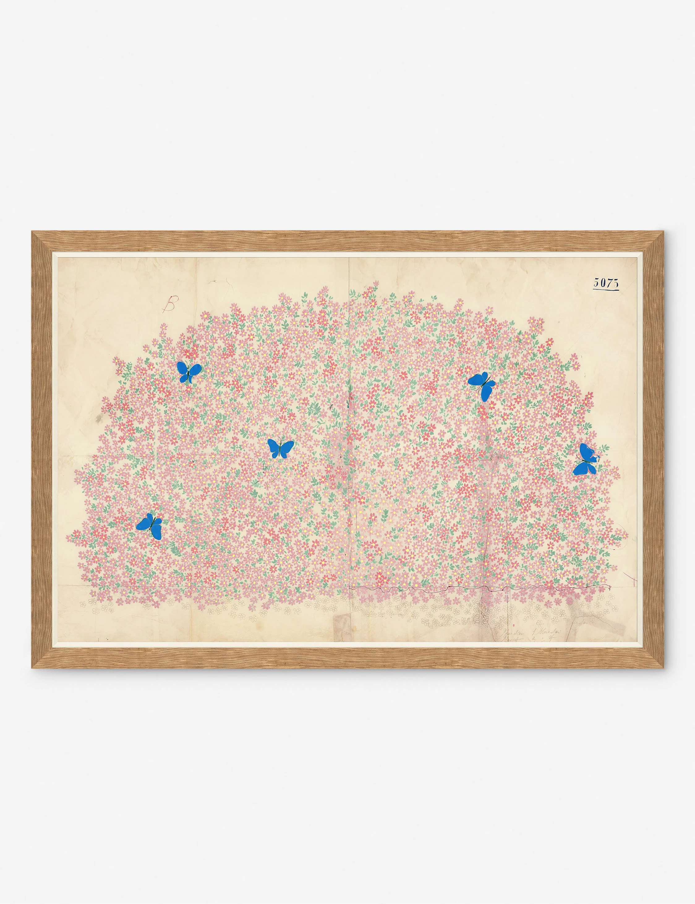 Myosotis Print by Paule Marrot - Image 2