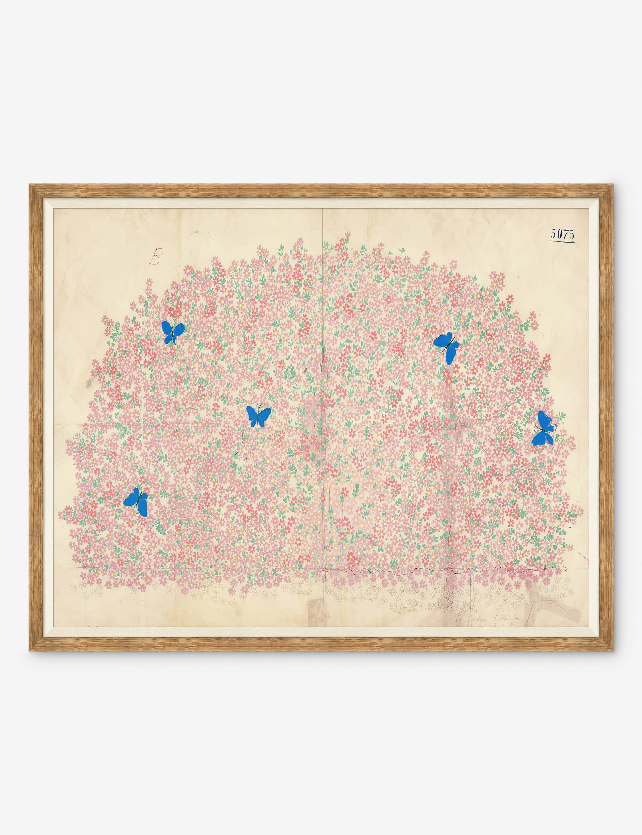 Myosotis Print by Paule Marrot - Image 3