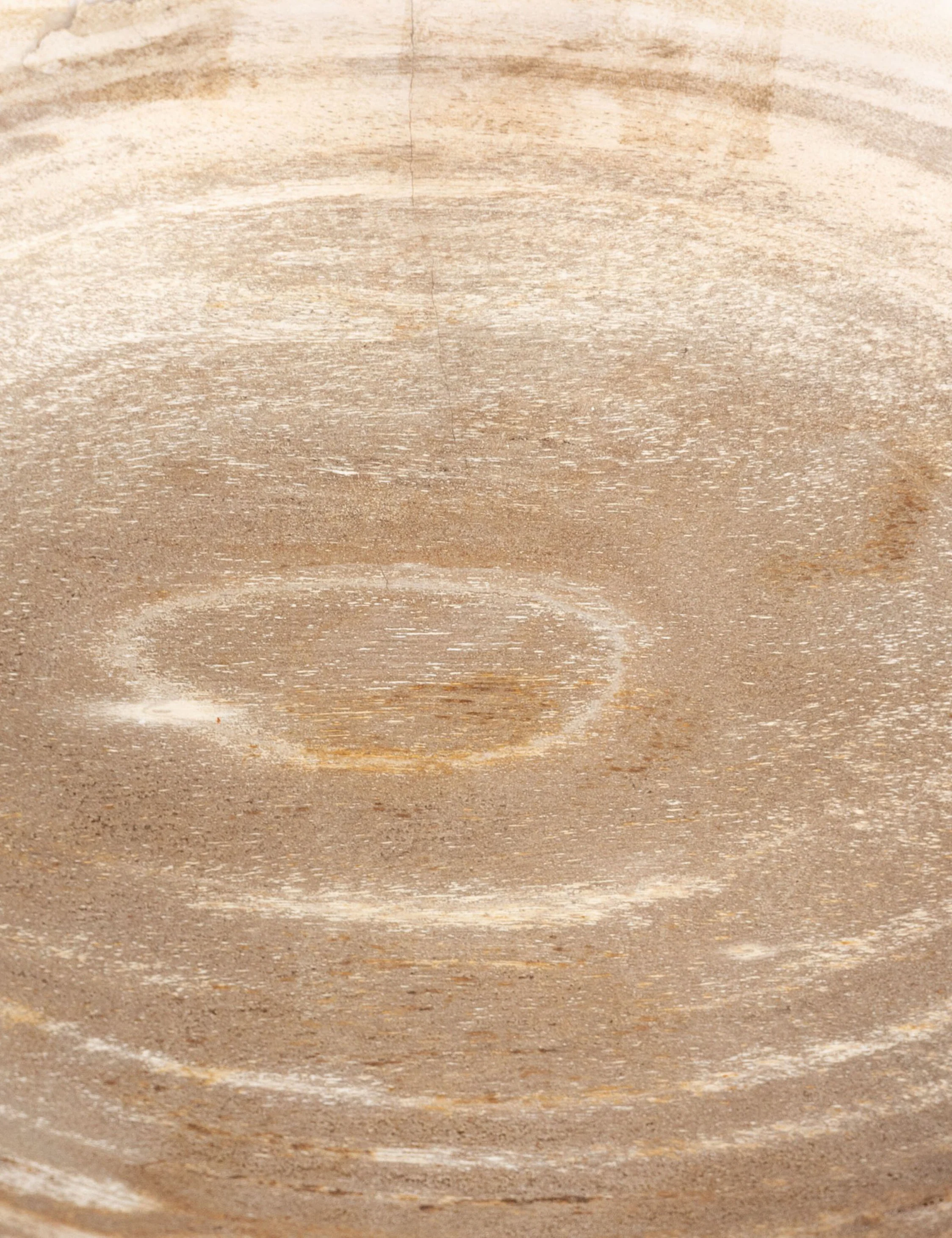 Noki Petrified Wood Bowl - Image 10
