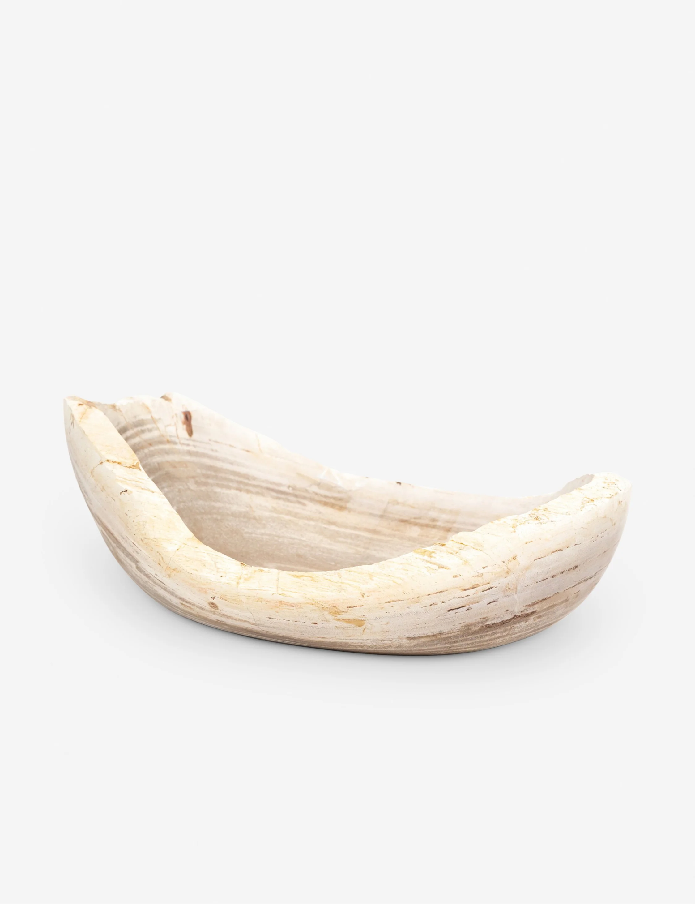 Noki Petrified Wood Bowl - Image 4