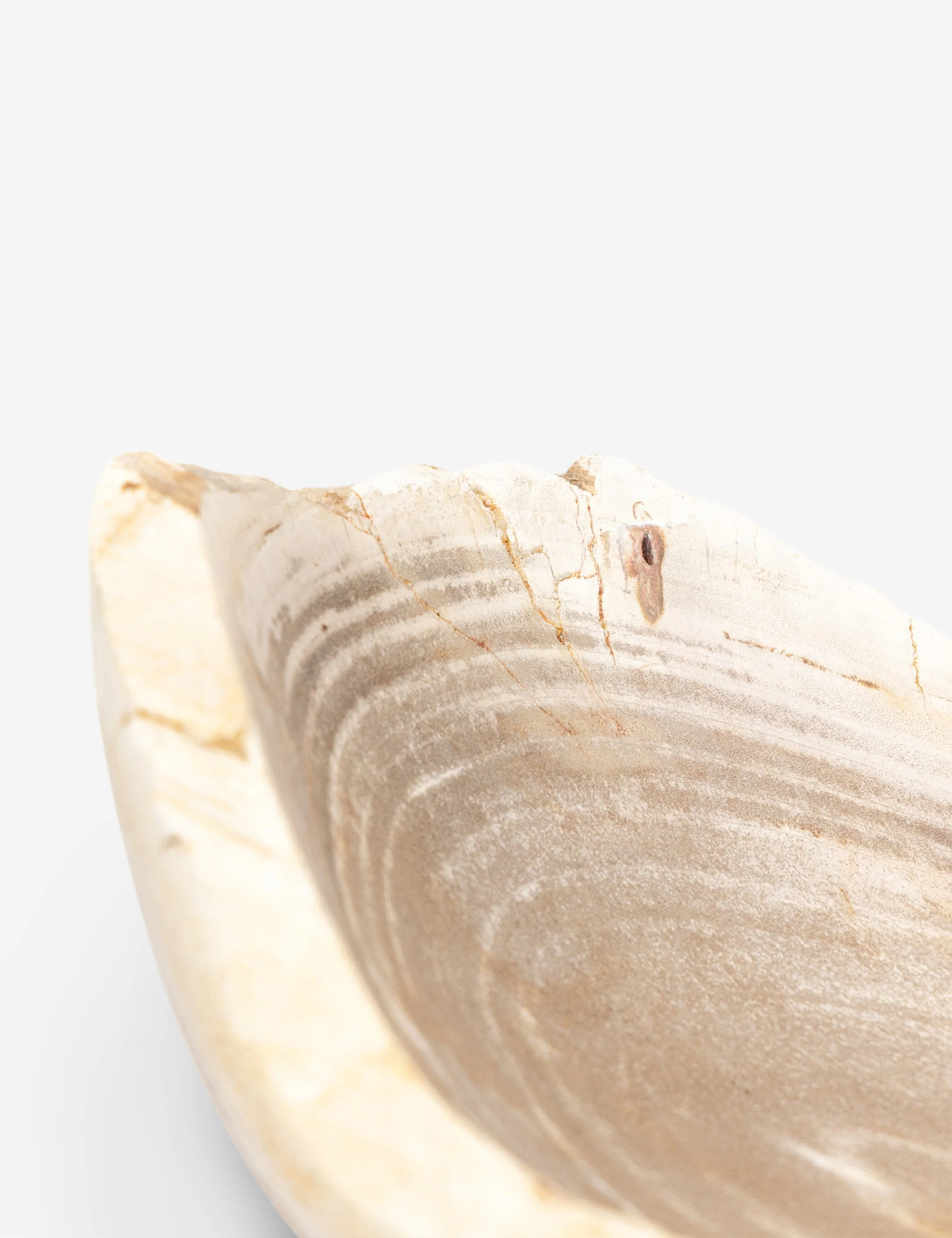 Noki Petrified Wood Bowl - Image 5
