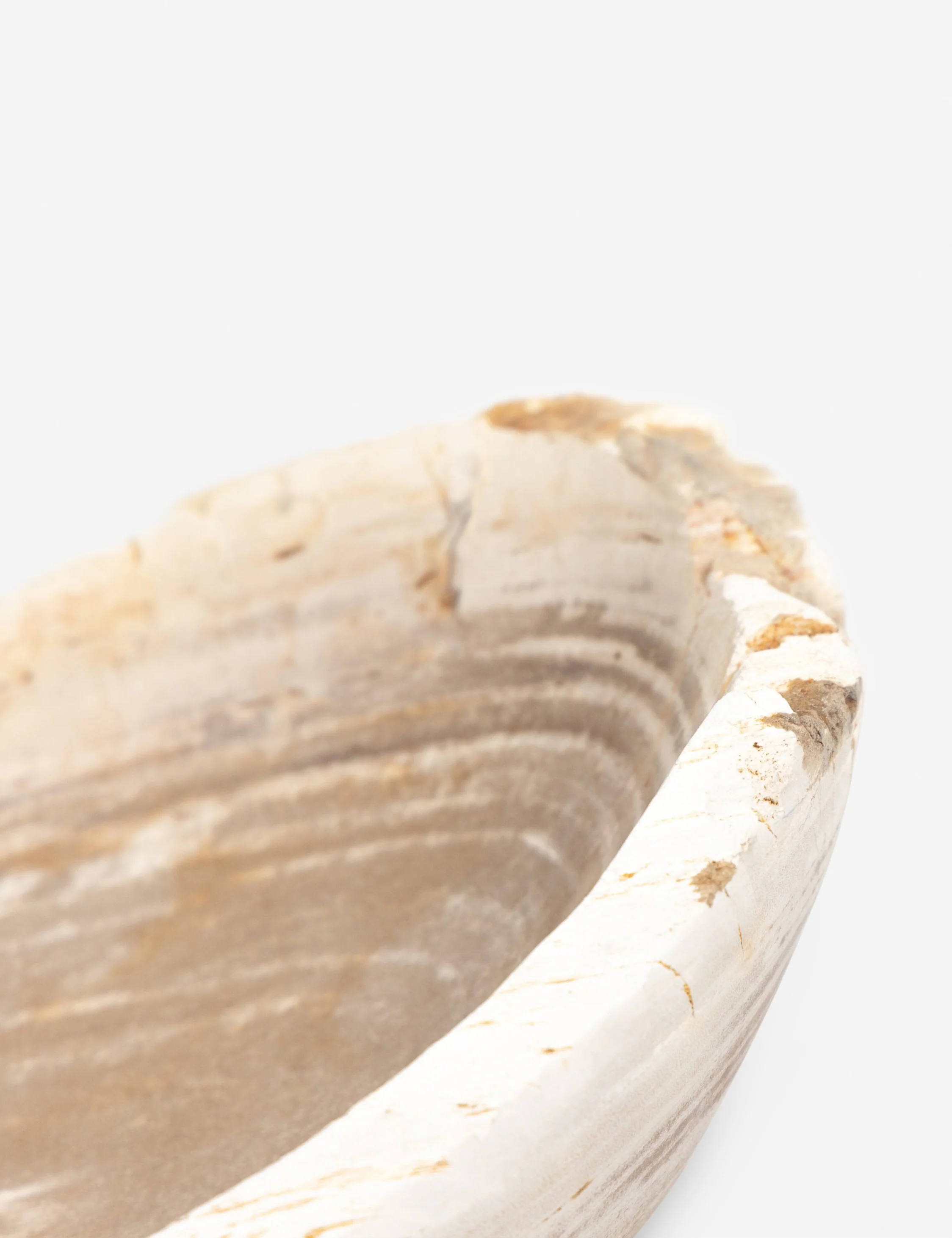 Noki Petrified Wood Bowl - Image 6