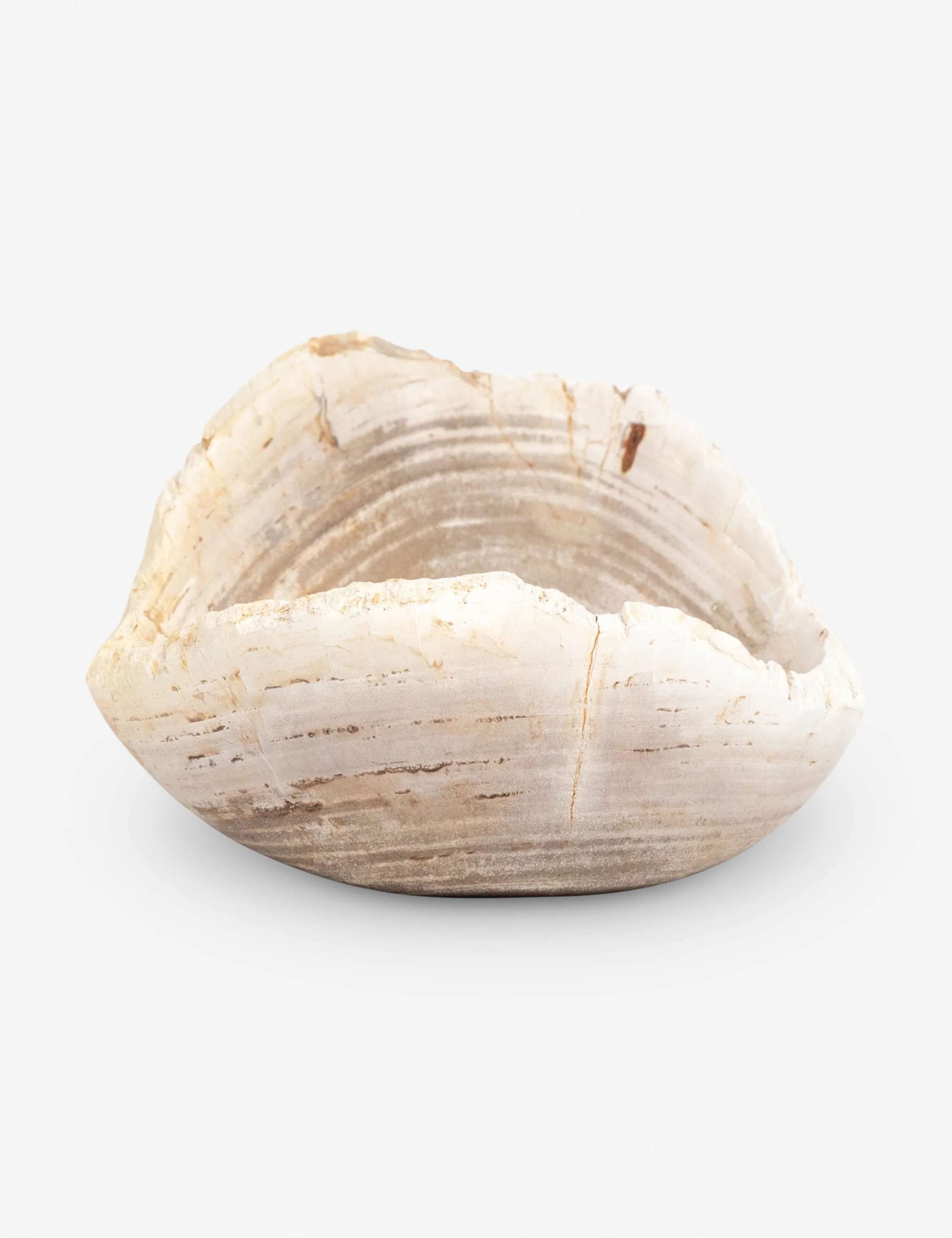 Noki Petrified Wood Bowl - Image 7