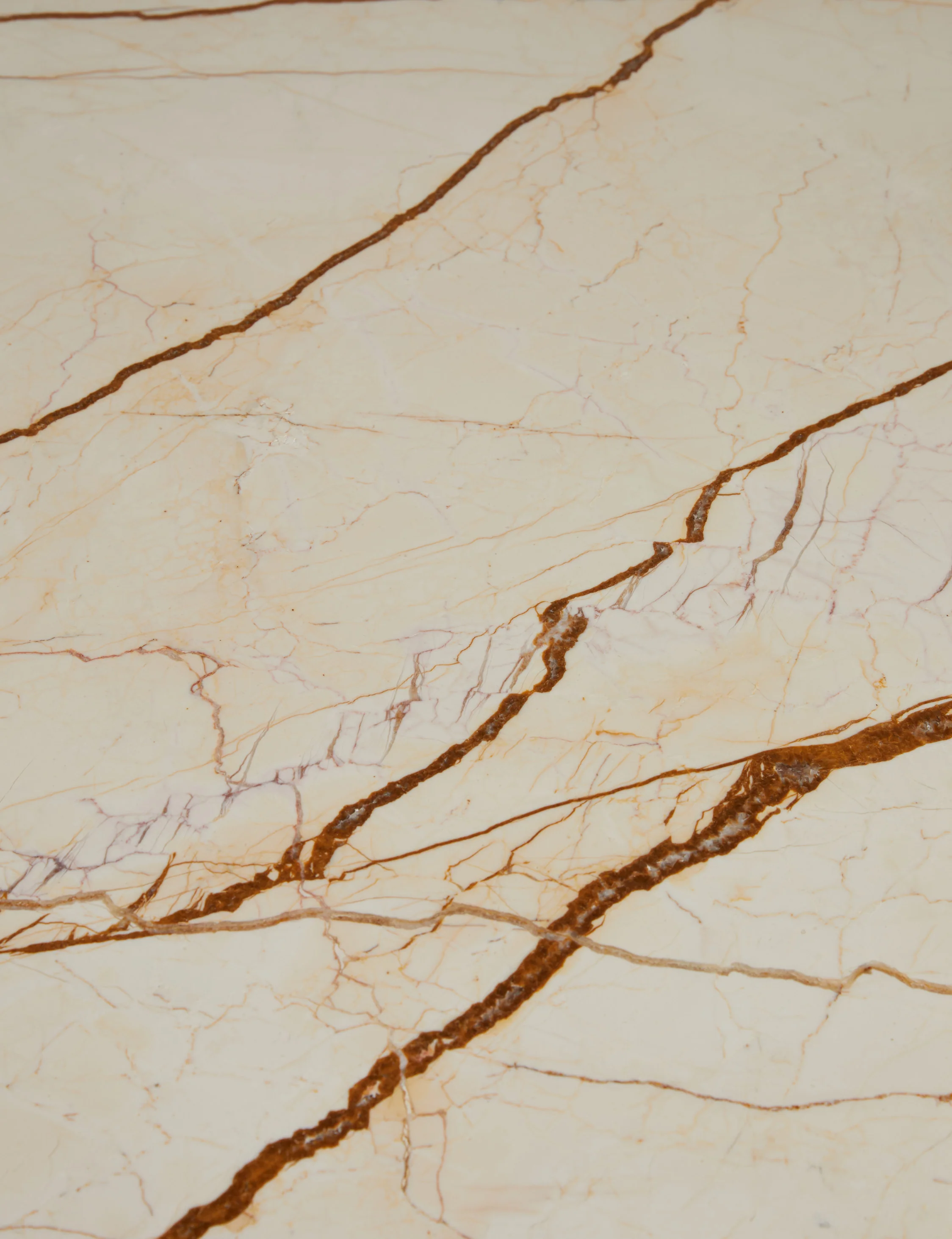 Philana Collection Wood Swatch - Image 11
