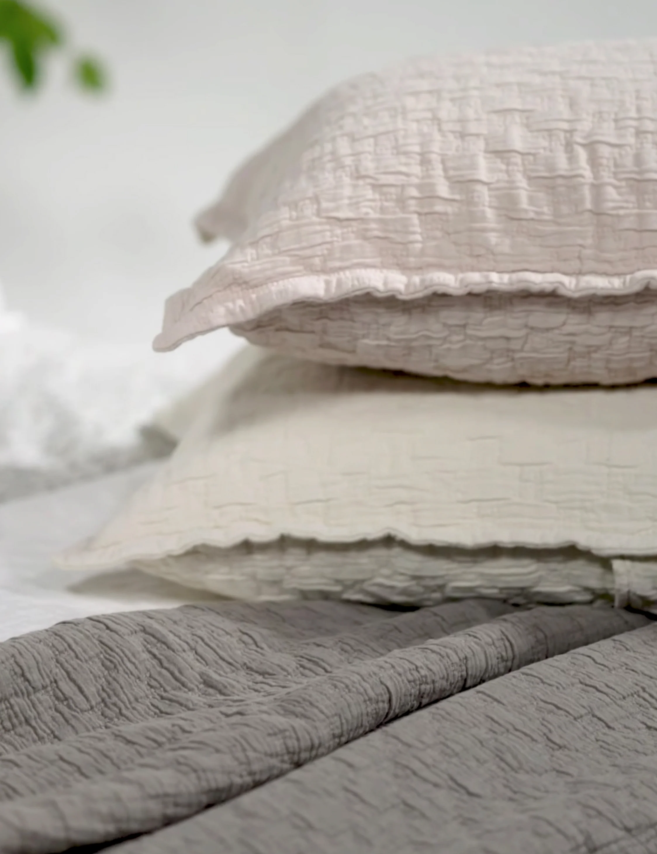 Ojai Cotton Matelasse Euro Sham by Pom Pom at Home - Image 4