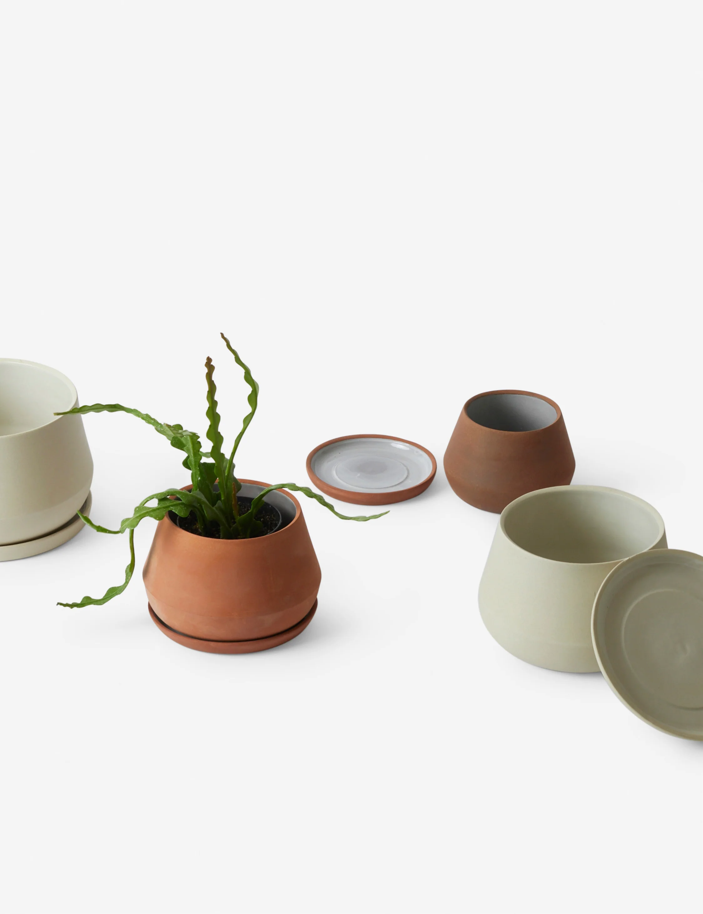 Rancho Ceramic Indoor / Outdoor Planter by LBE Design - Image 16