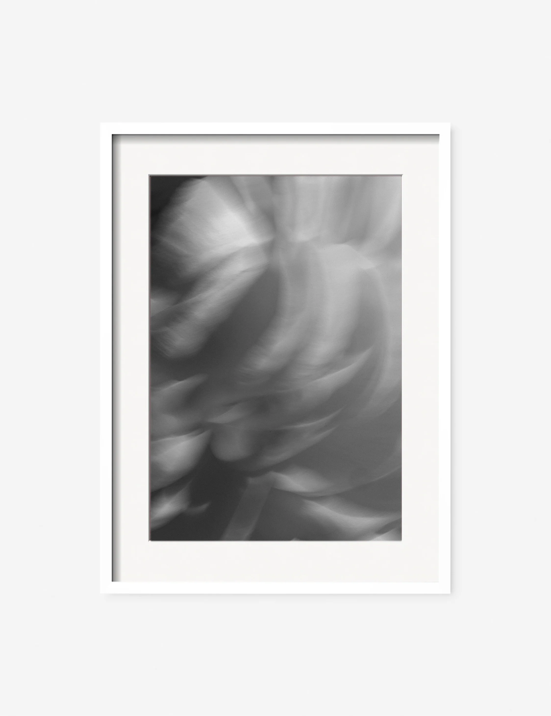 Ranunculus 1 Photography Print by Carley Rudd - Image 3