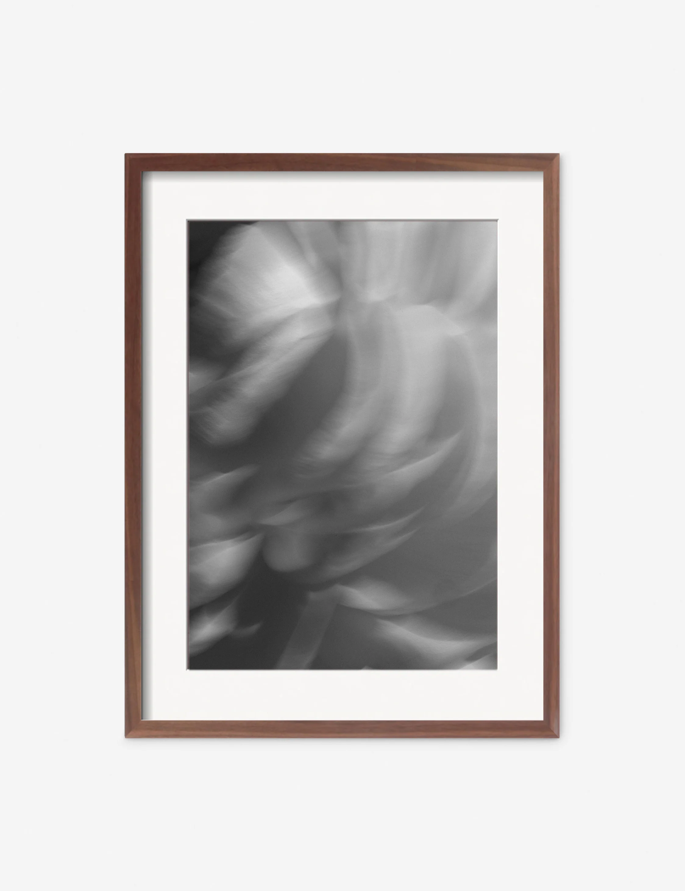 Ranunculus 1 Photography Print by Carley Rudd - Image 4