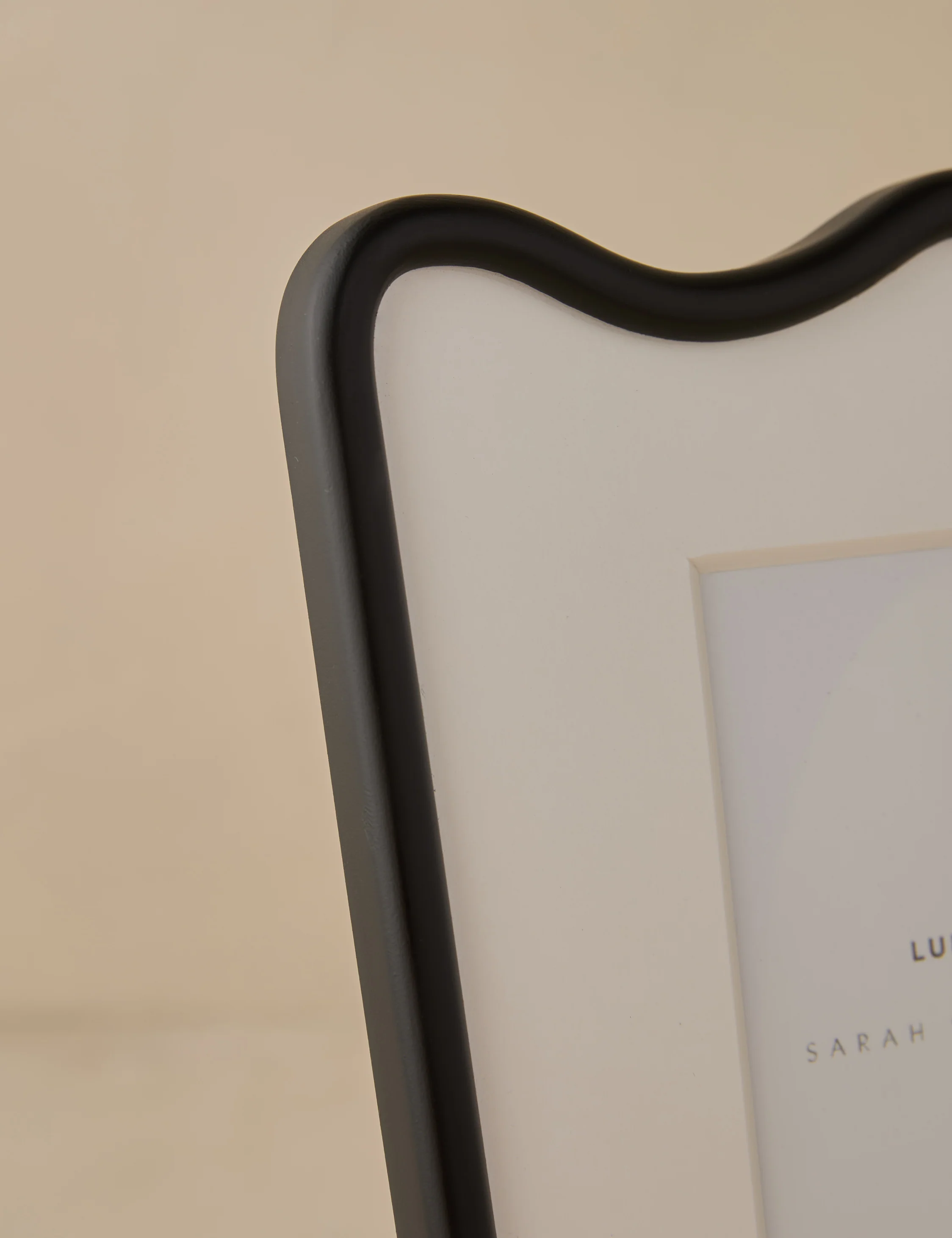 Rook Picture Frame by Sarah Sherman Samuel - Image 10
