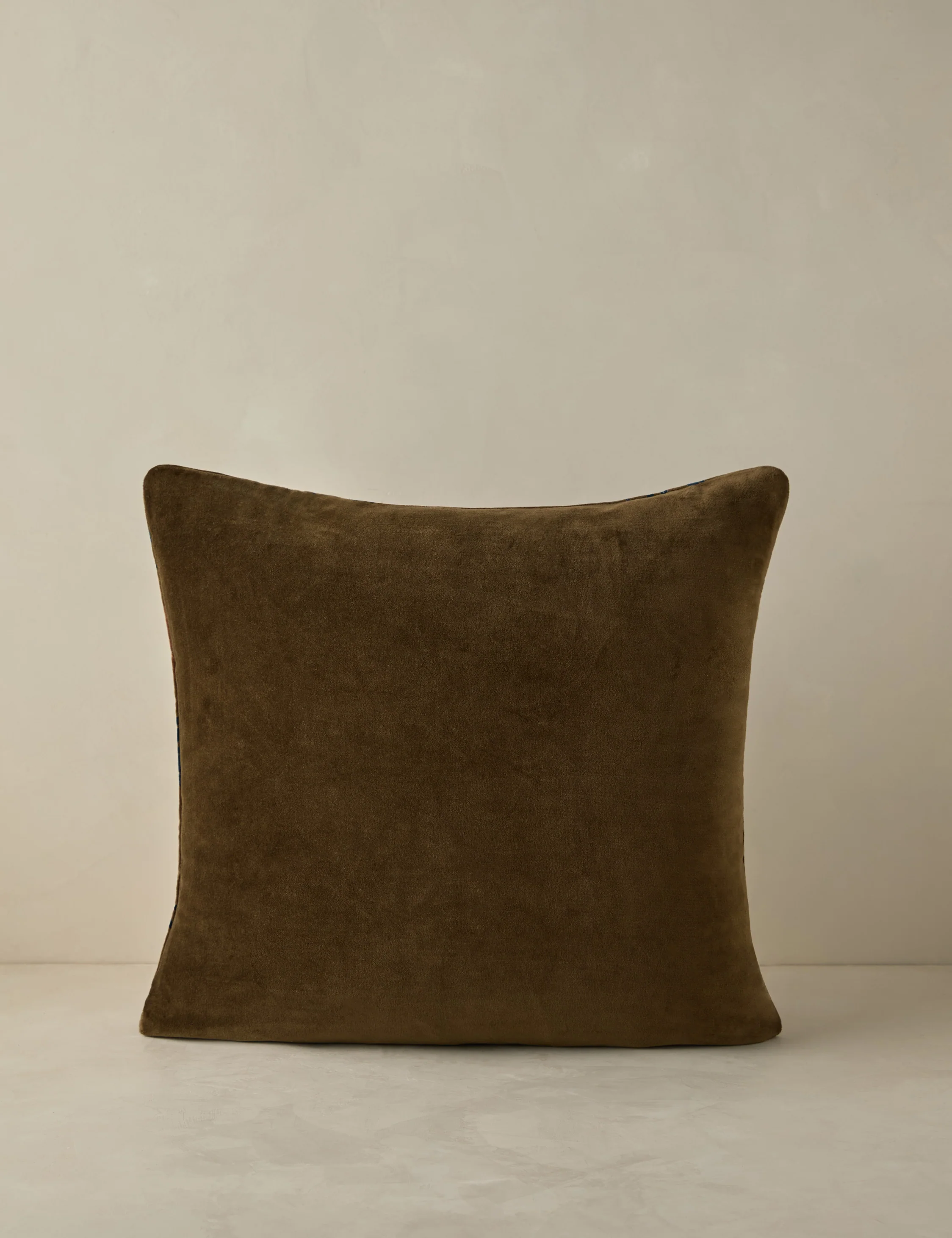 Royce Velvet Pillow - Image 11