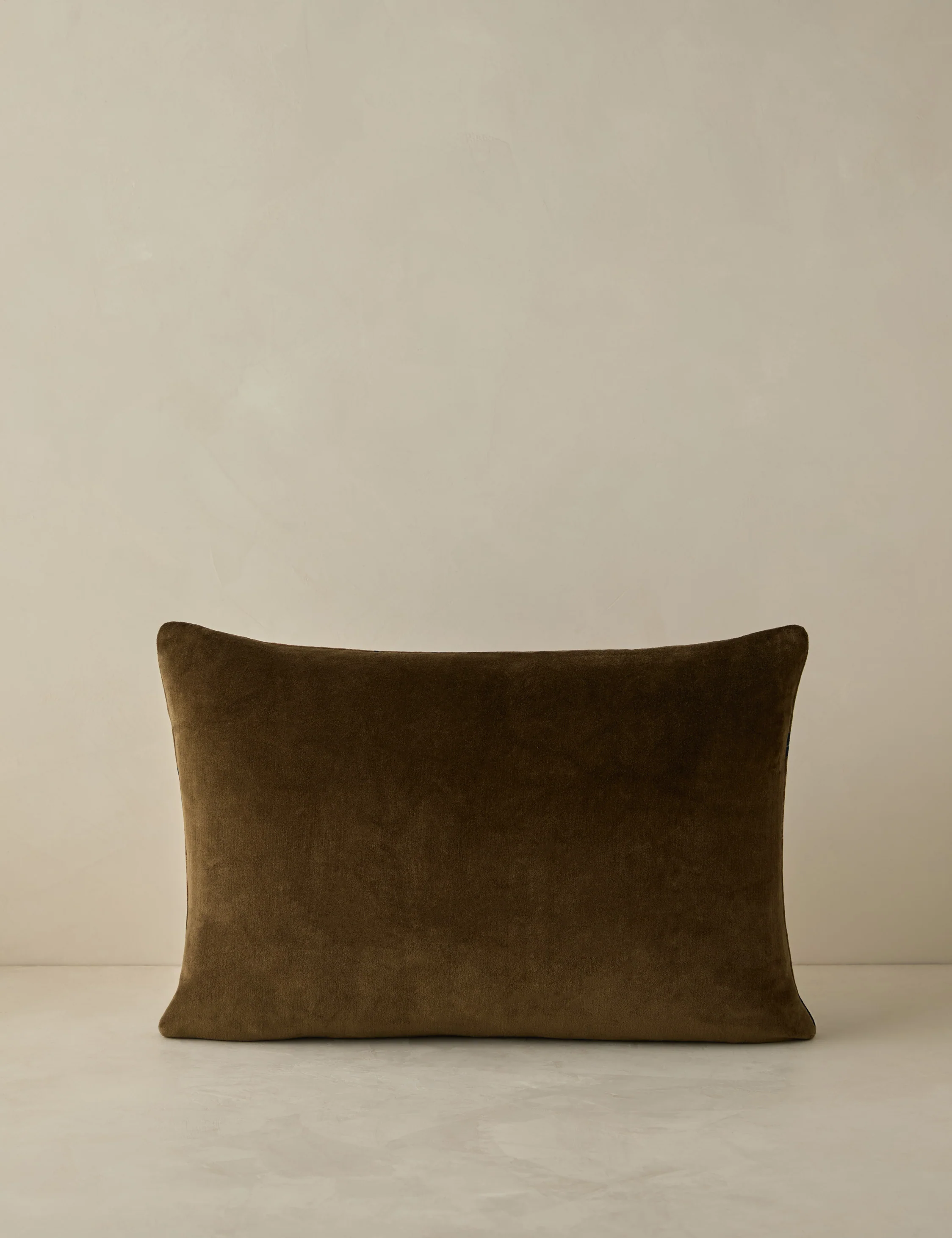 Royce Velvet Pillow - Image 12