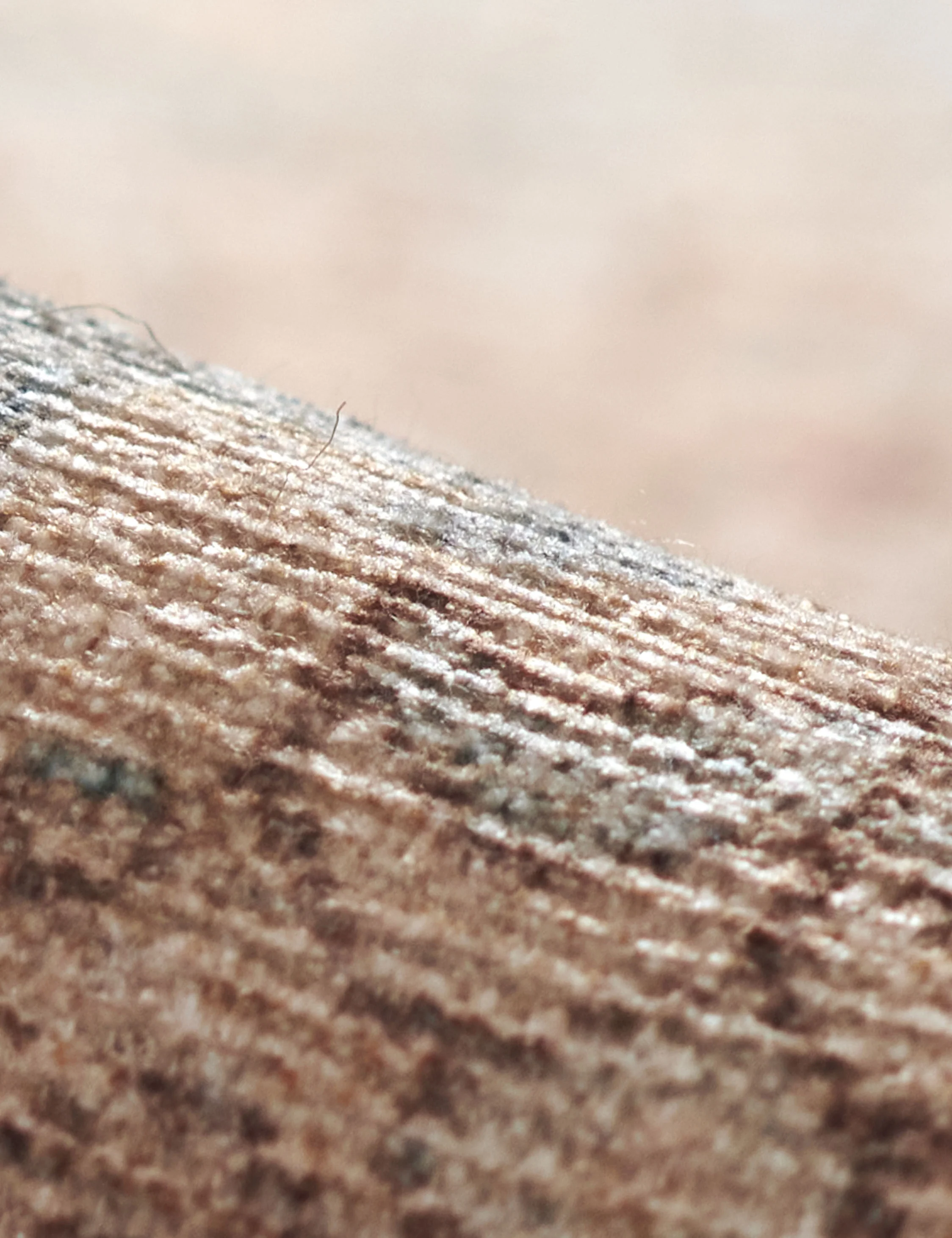 Salif Rug - Image 4