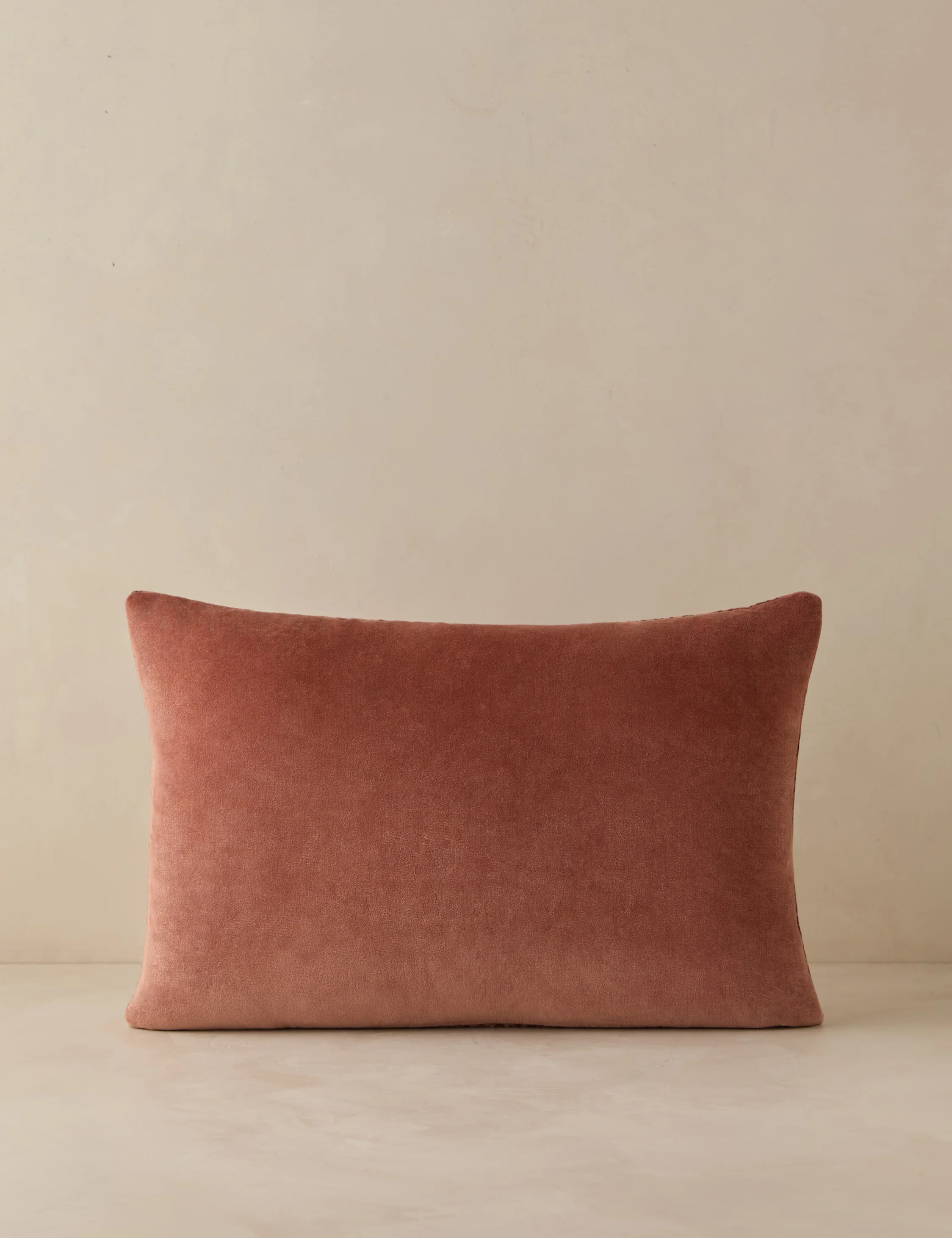 Sandell Velvet Pillow - Image 6