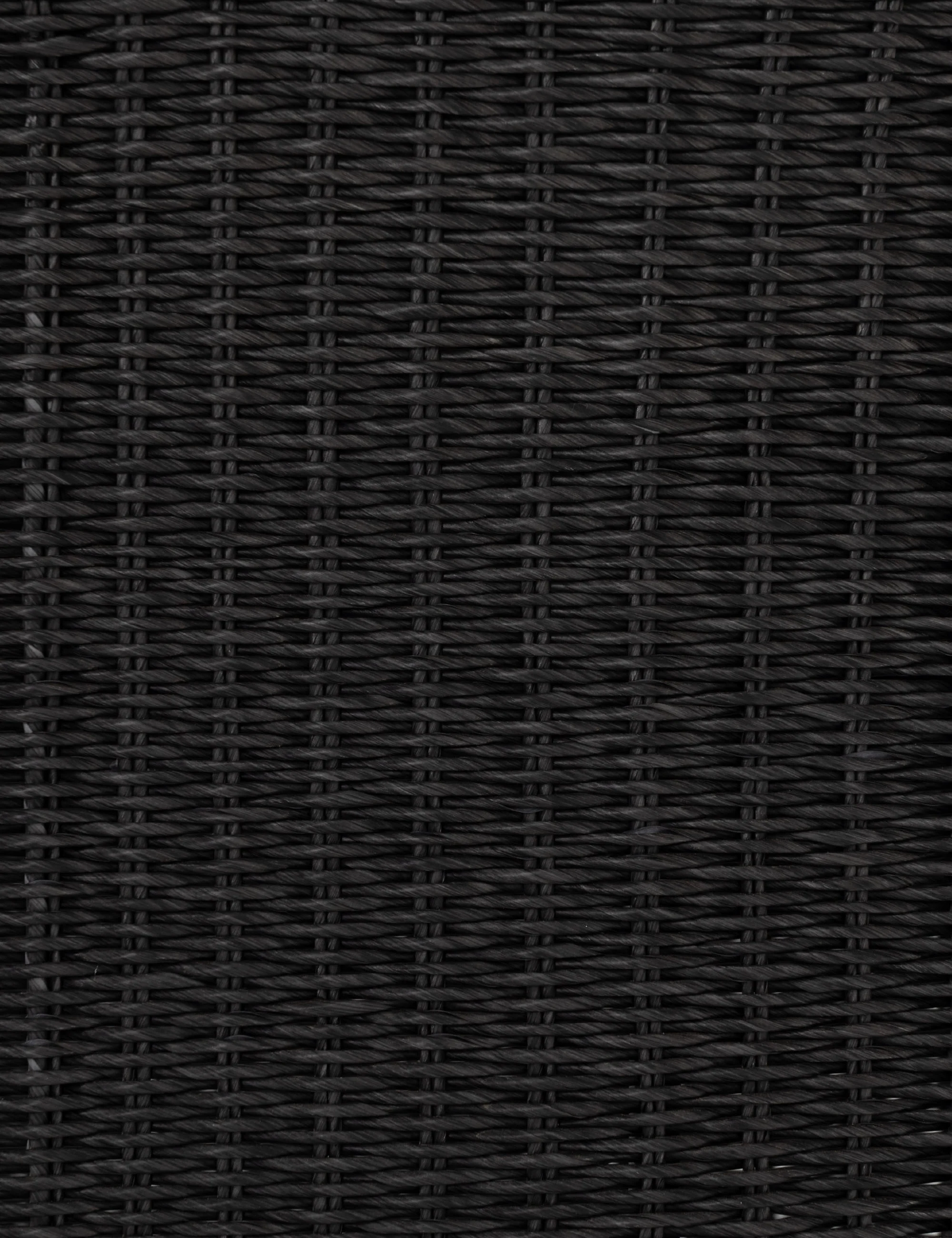 Tahoe Indoor / Outdoor Accent Chair - Image 6