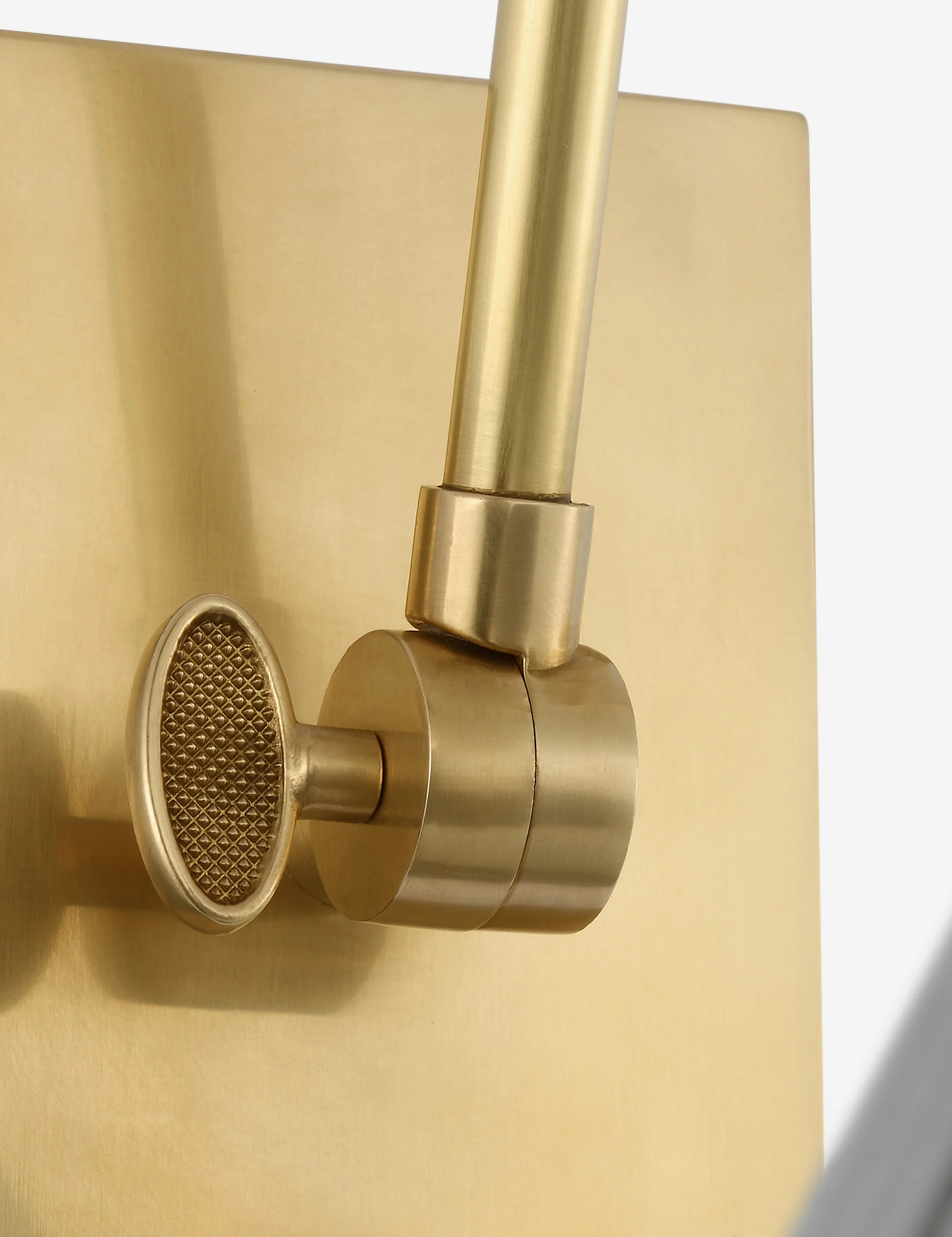 Talitha Articulating Sconce - Image 19