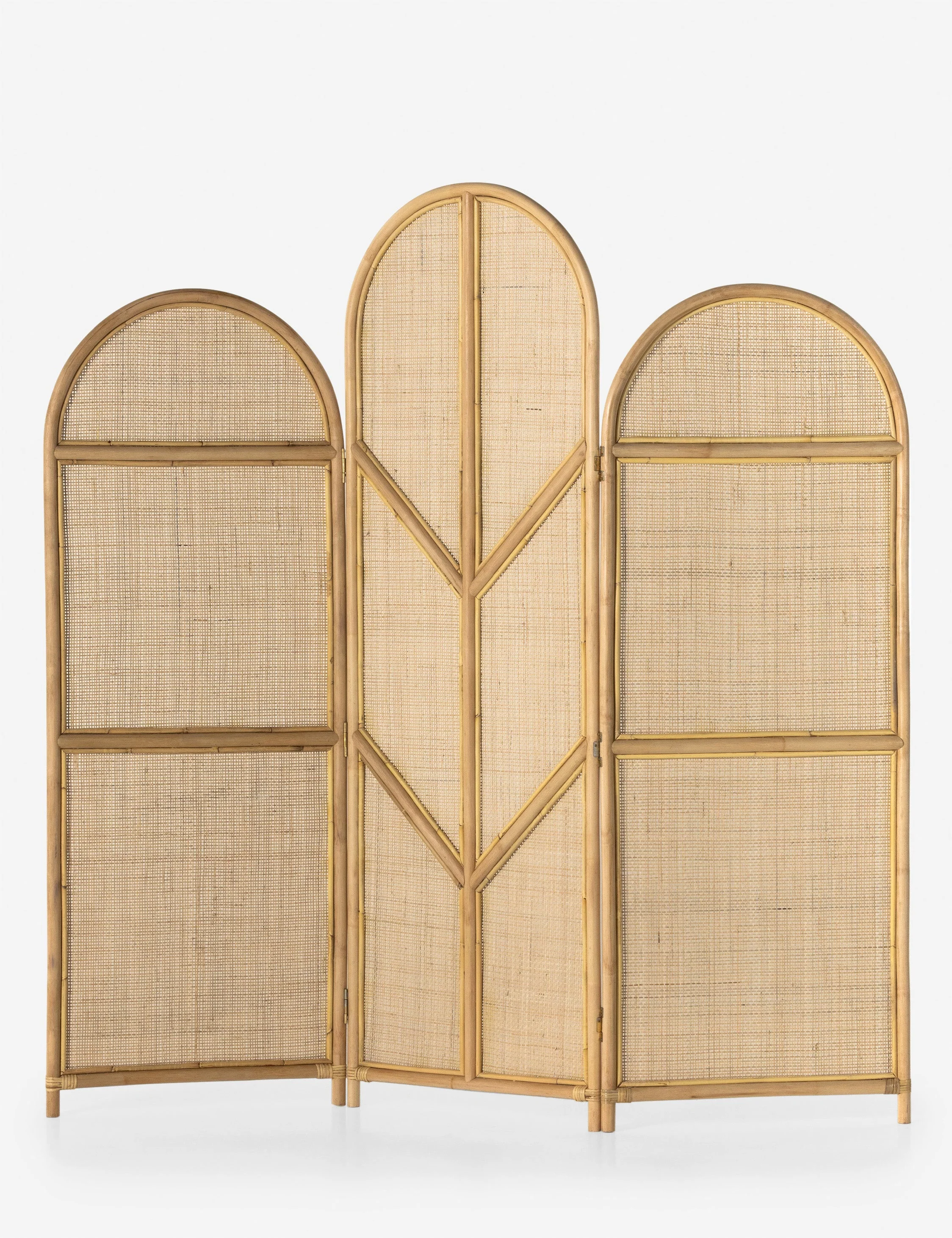 Tapia Screen