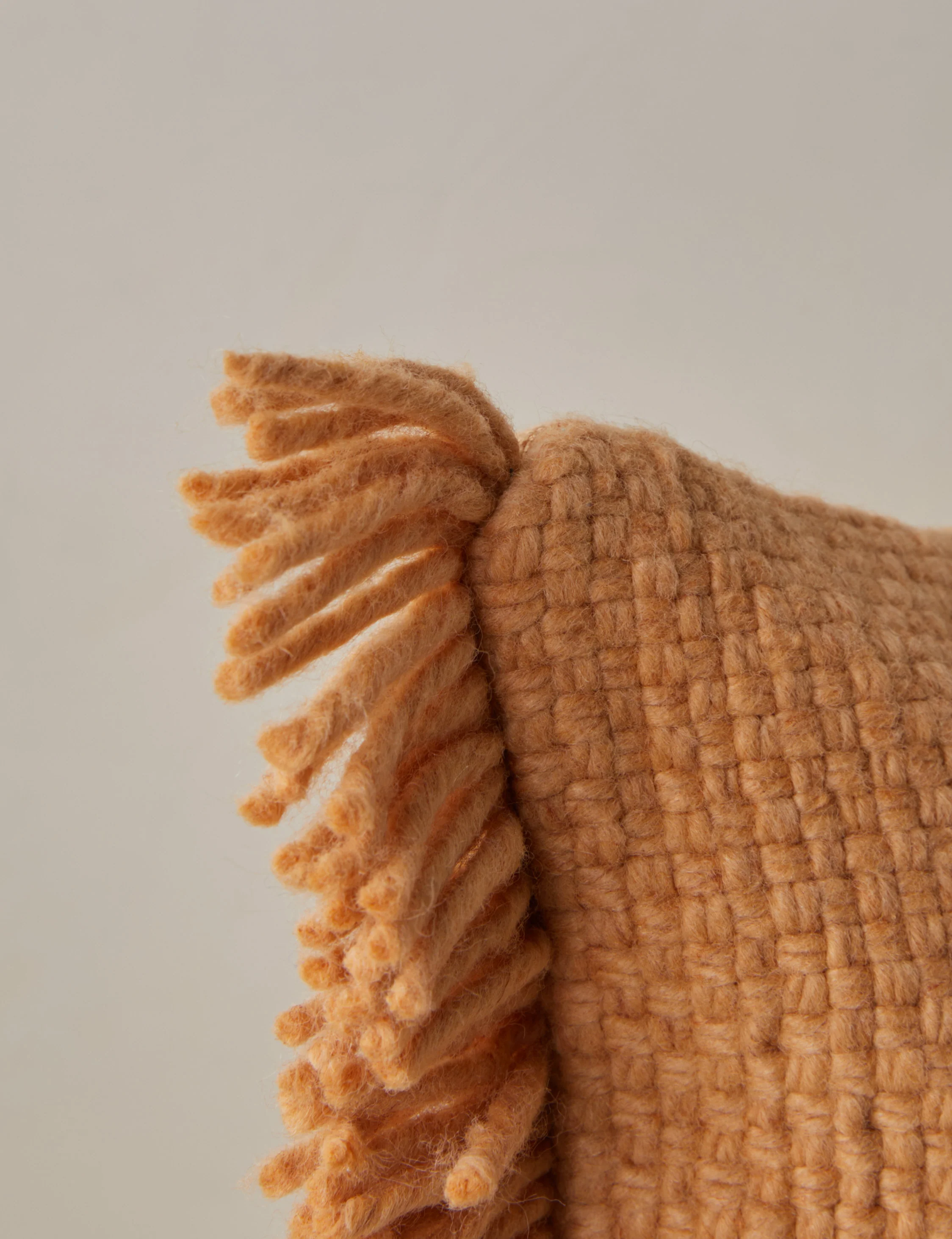 Thorpe Indoor / Outdoor Pillow - Image 22