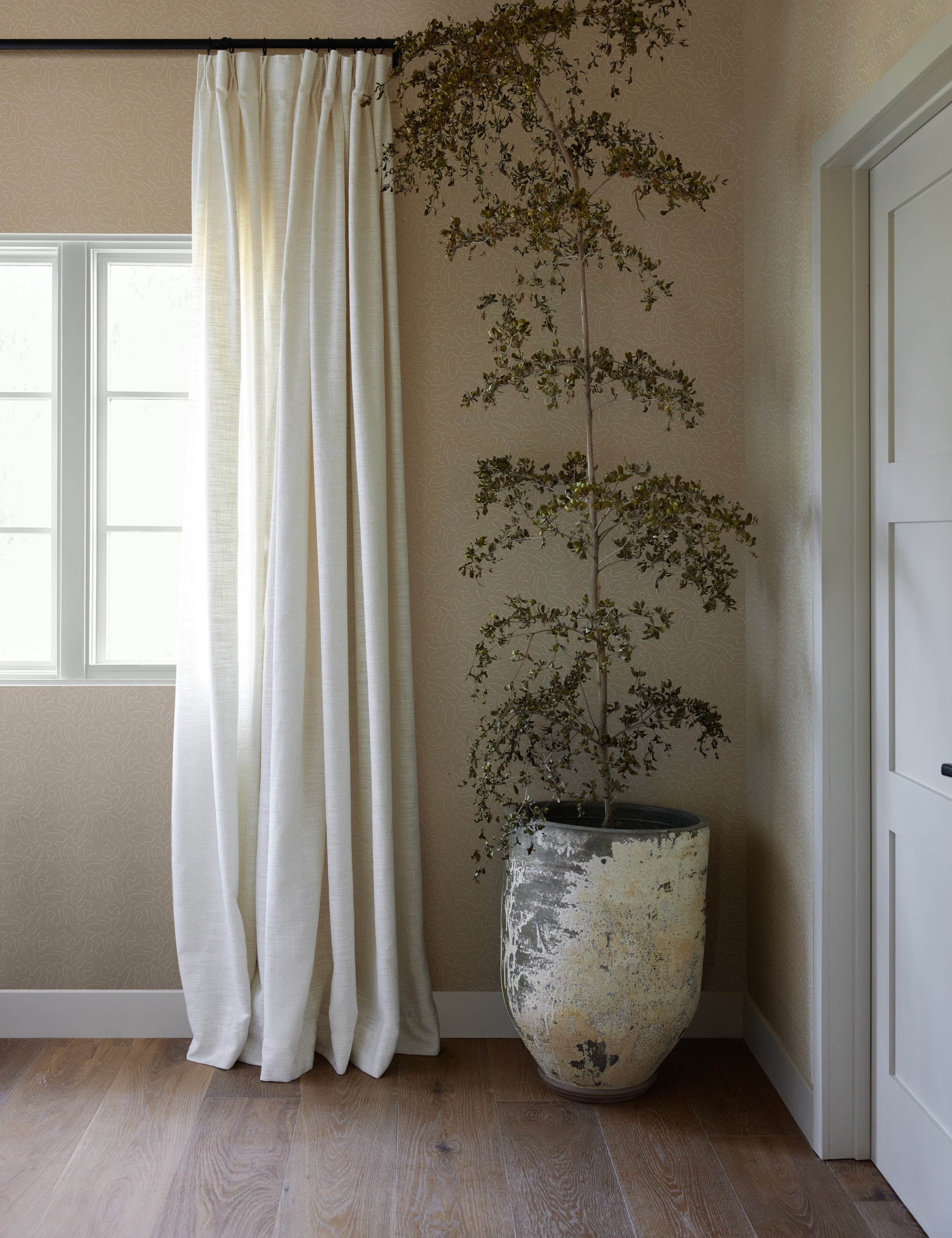 Topos Wallpaper by Élan Byrd - Image 3