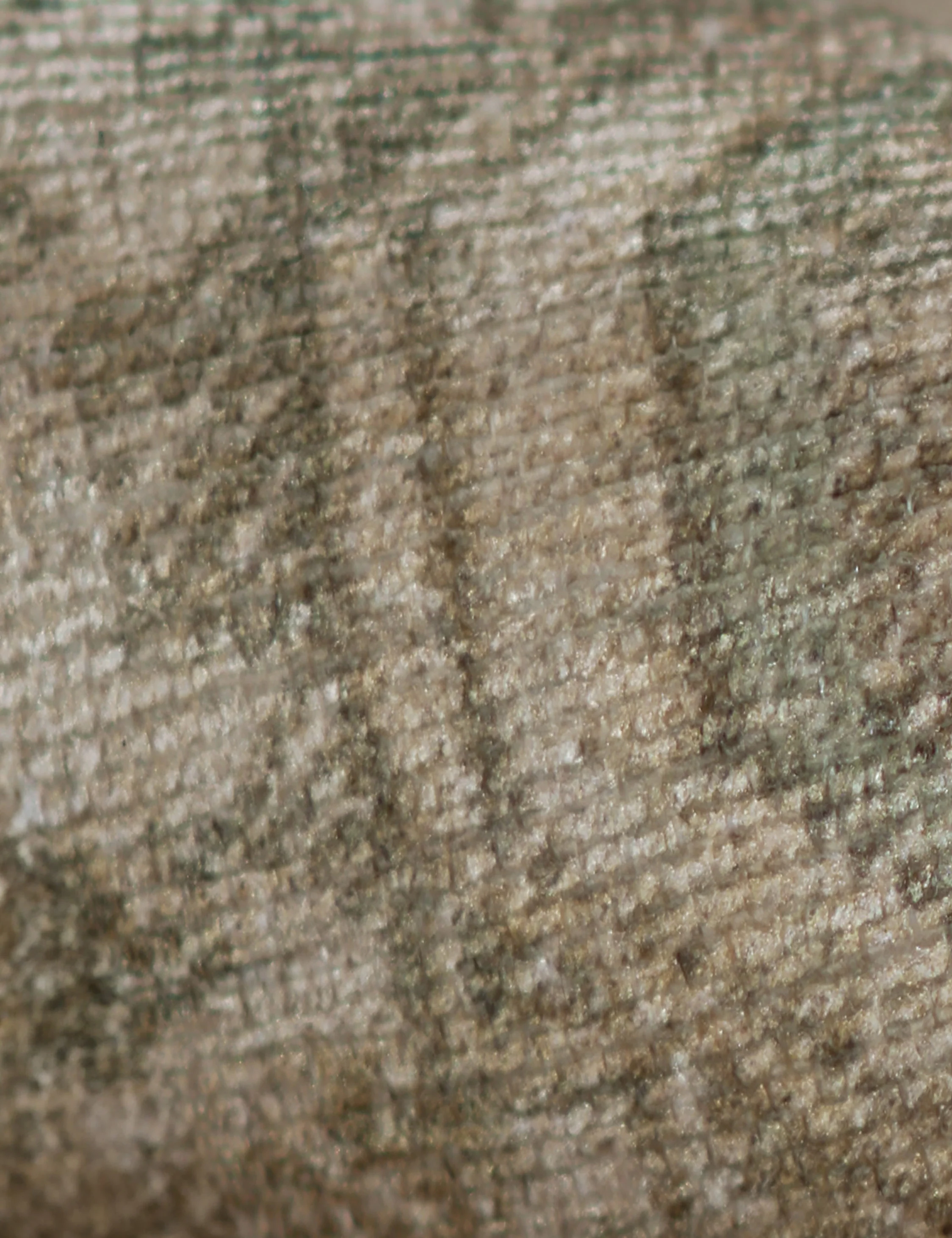 Warren Rug by Erin Gates - Image 3
