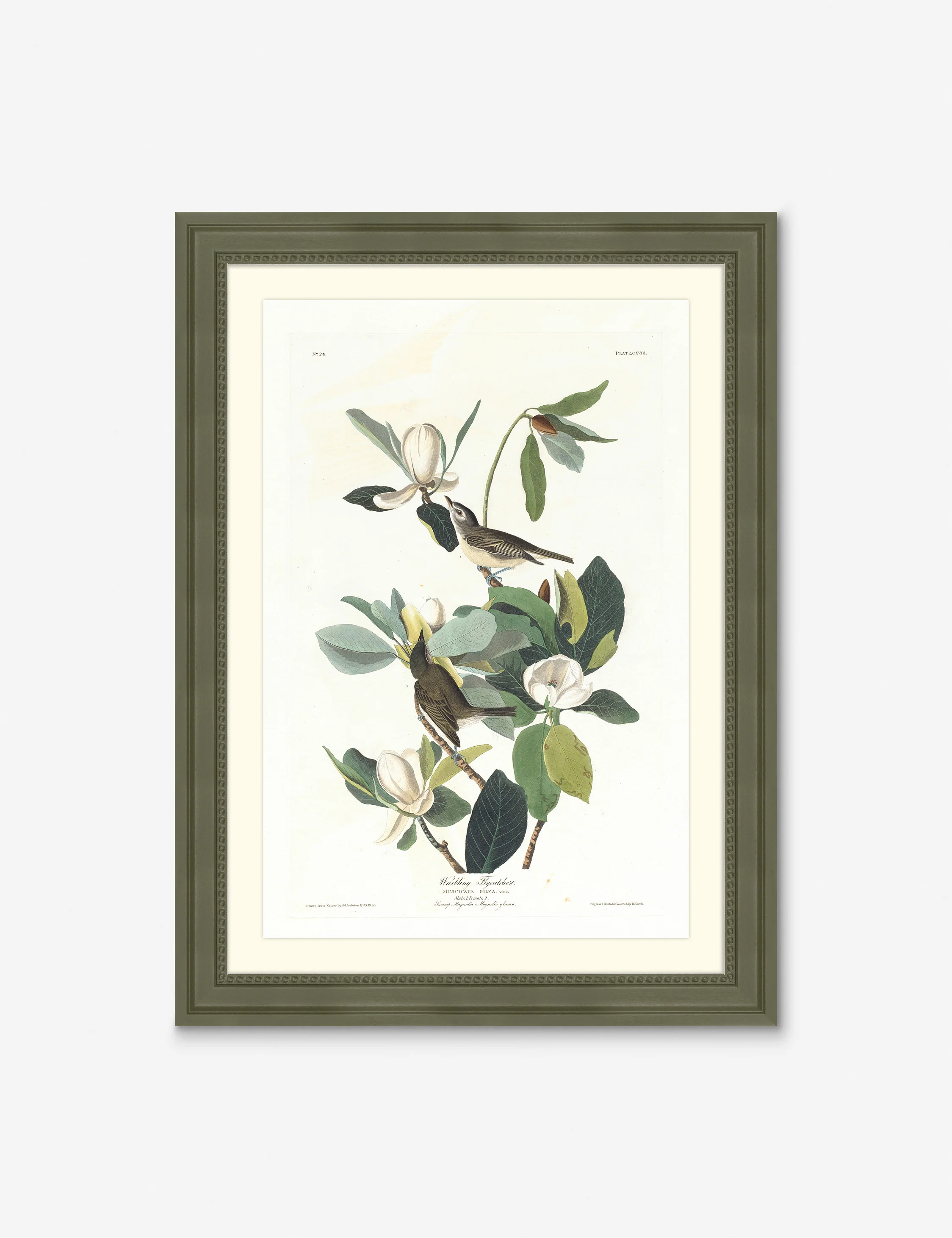 Wings of the Wild II Wall Art by Alex Zane