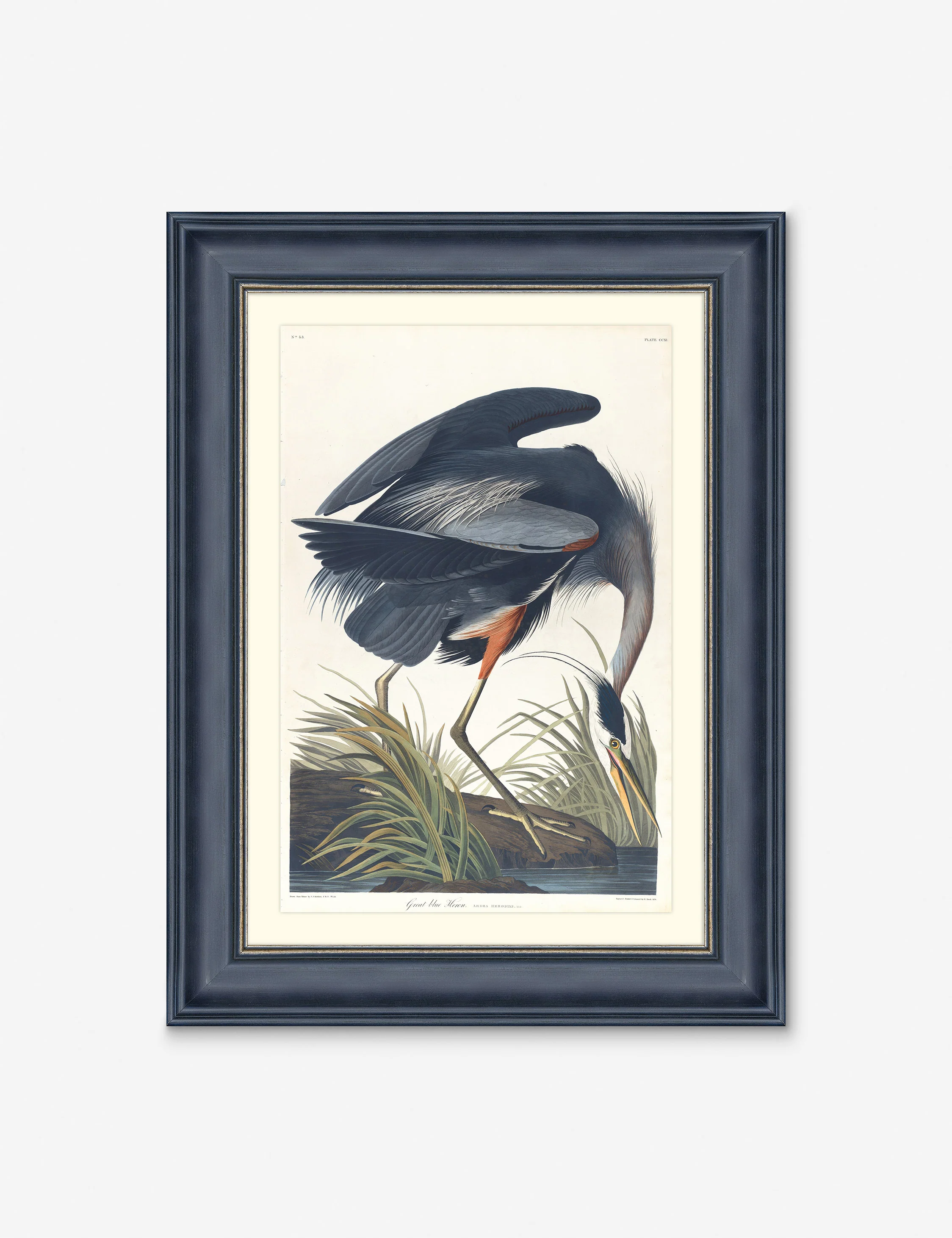 Wings of the Wild III Wall Art by Alex Zane
