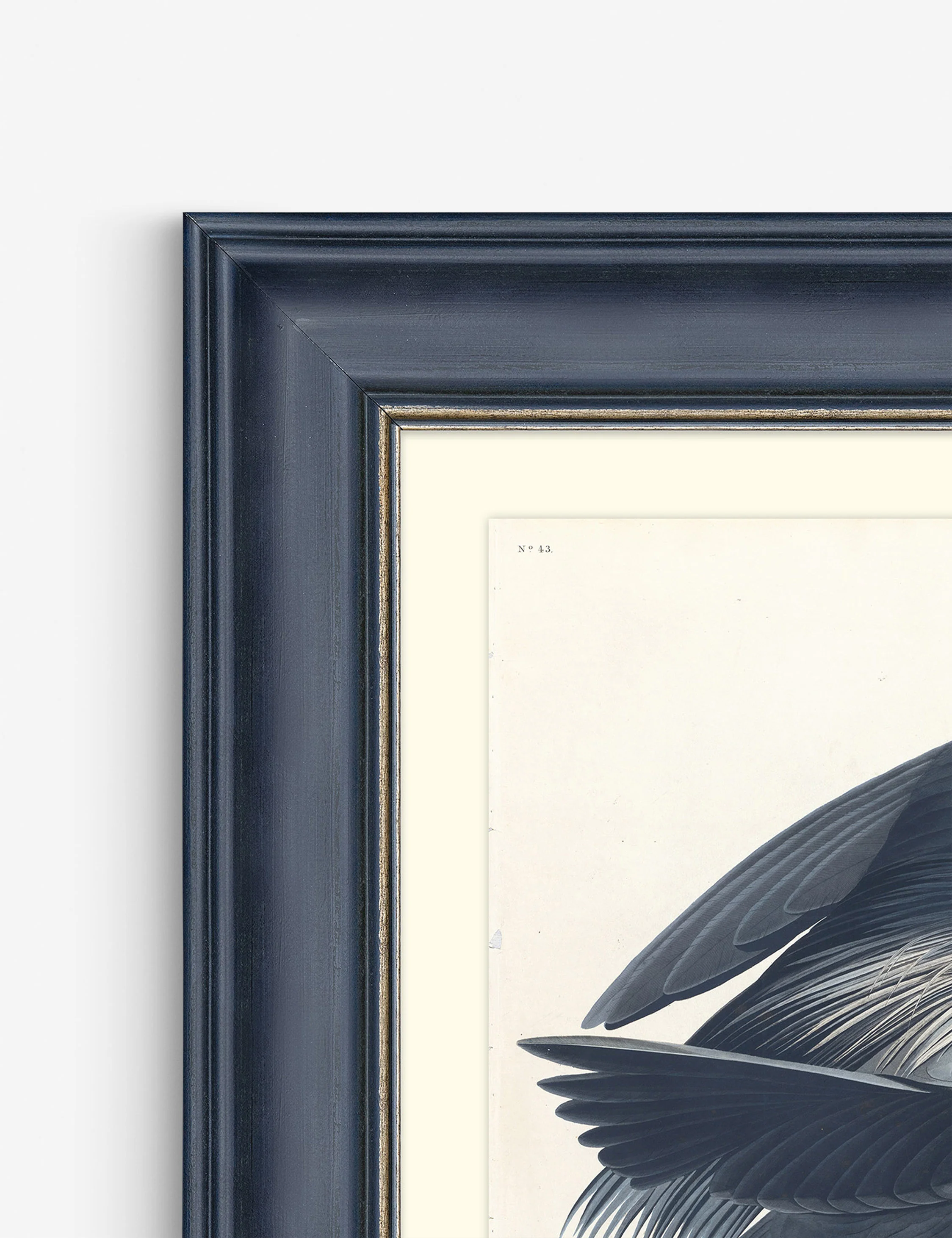 Wings of the Wild III Wall Art by Alex Zane - Image 2