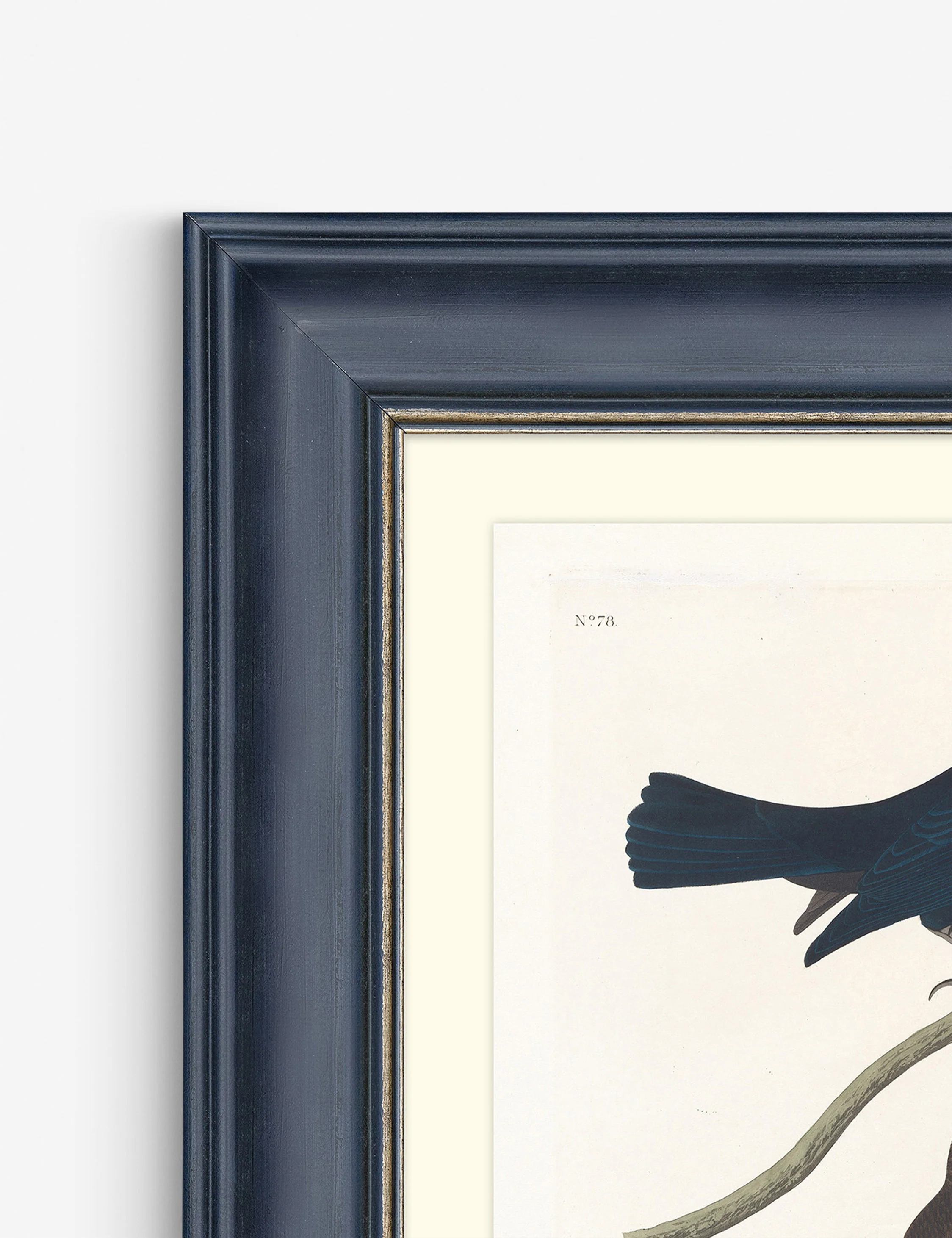 Wings of the Wild IV Wall Art by Alex Zane - Image 2